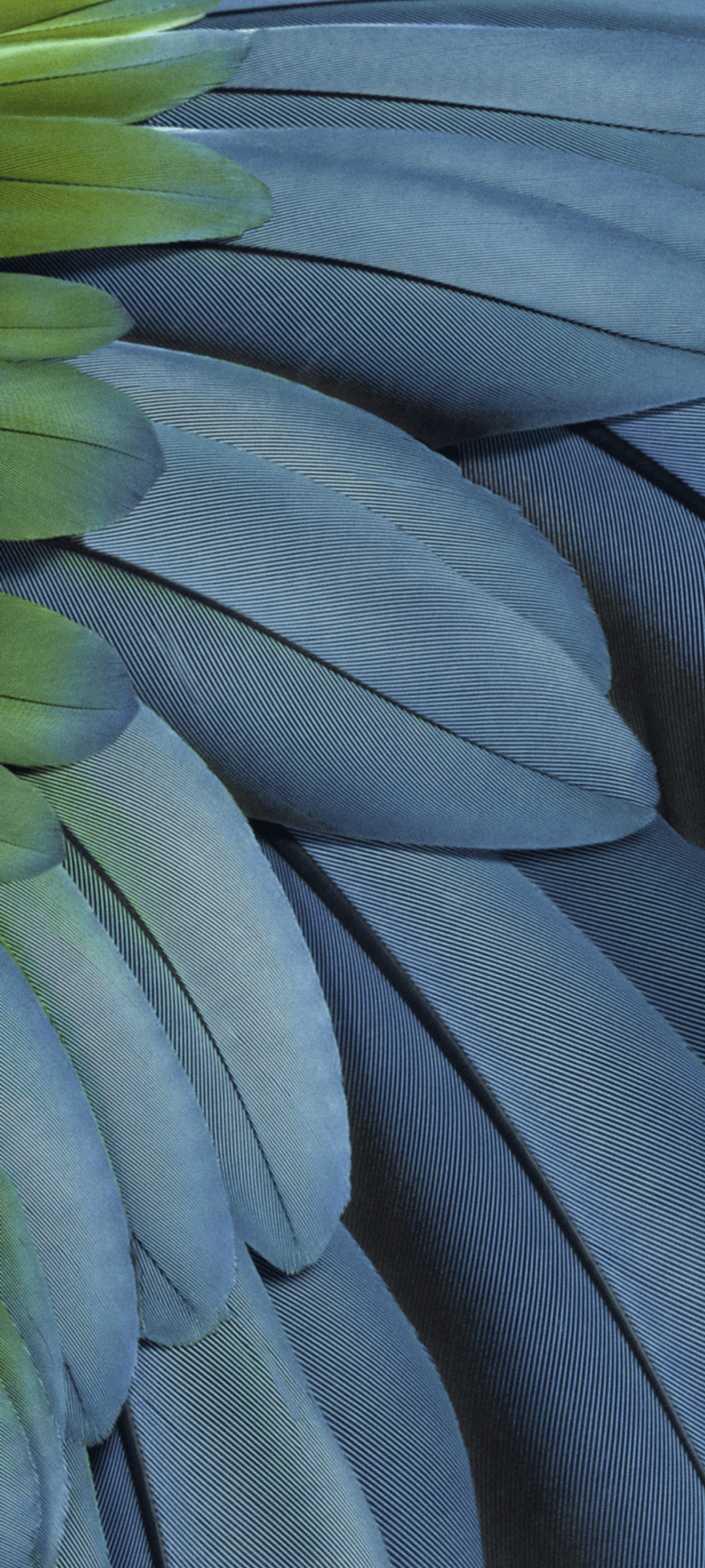 1080x2400 Wallpaper Pixel Pixel Fold, Google, Fhd, Pixel 7a, Background Free Image