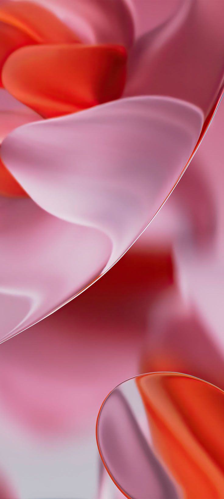 736x1636 Pixel Fold 2 Wallpaper