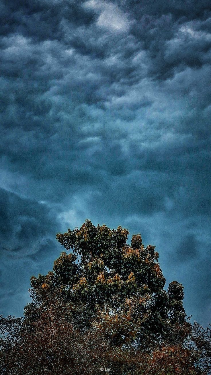 736x1308 Pinterest