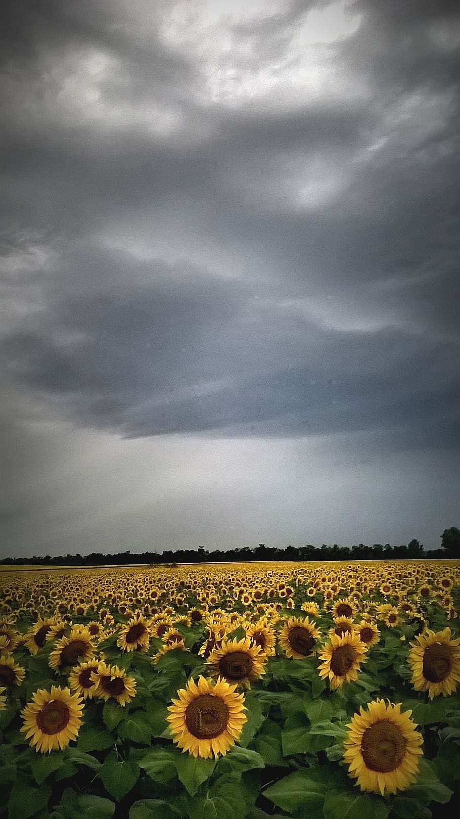 910x1620 stormy weather 1080P, 2K, 4K, 5K HD wallpaper free download