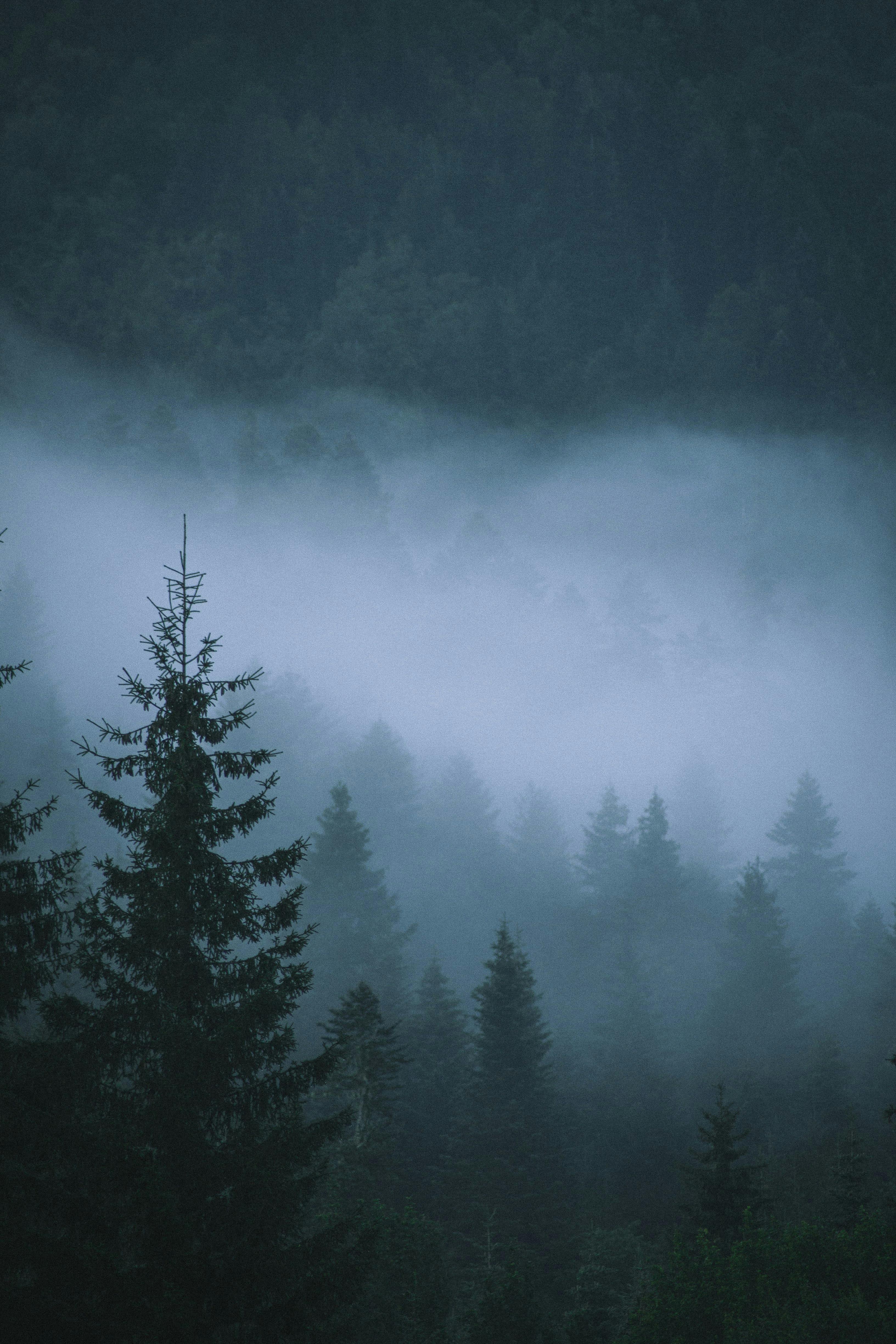 3265x4898 Gloomy Weather Wallpaper