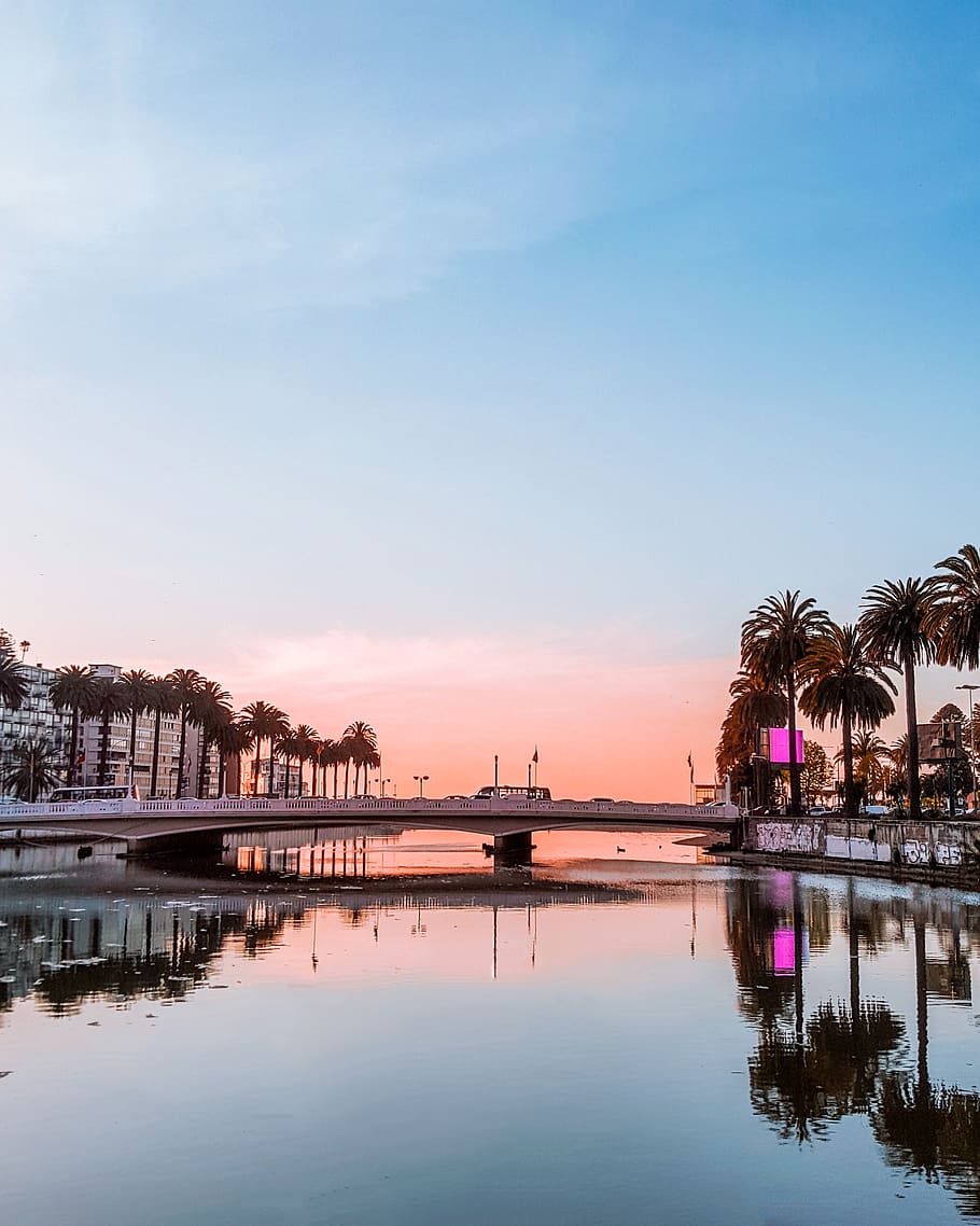 910x1138 Viña de mar 1080P, 2K, 4K, 5K HD wallpaper free download