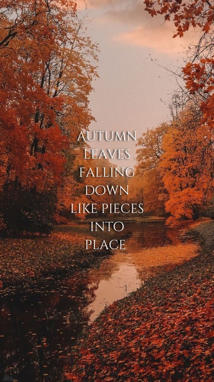736x1309 fall wallpaper taylor swift all too well