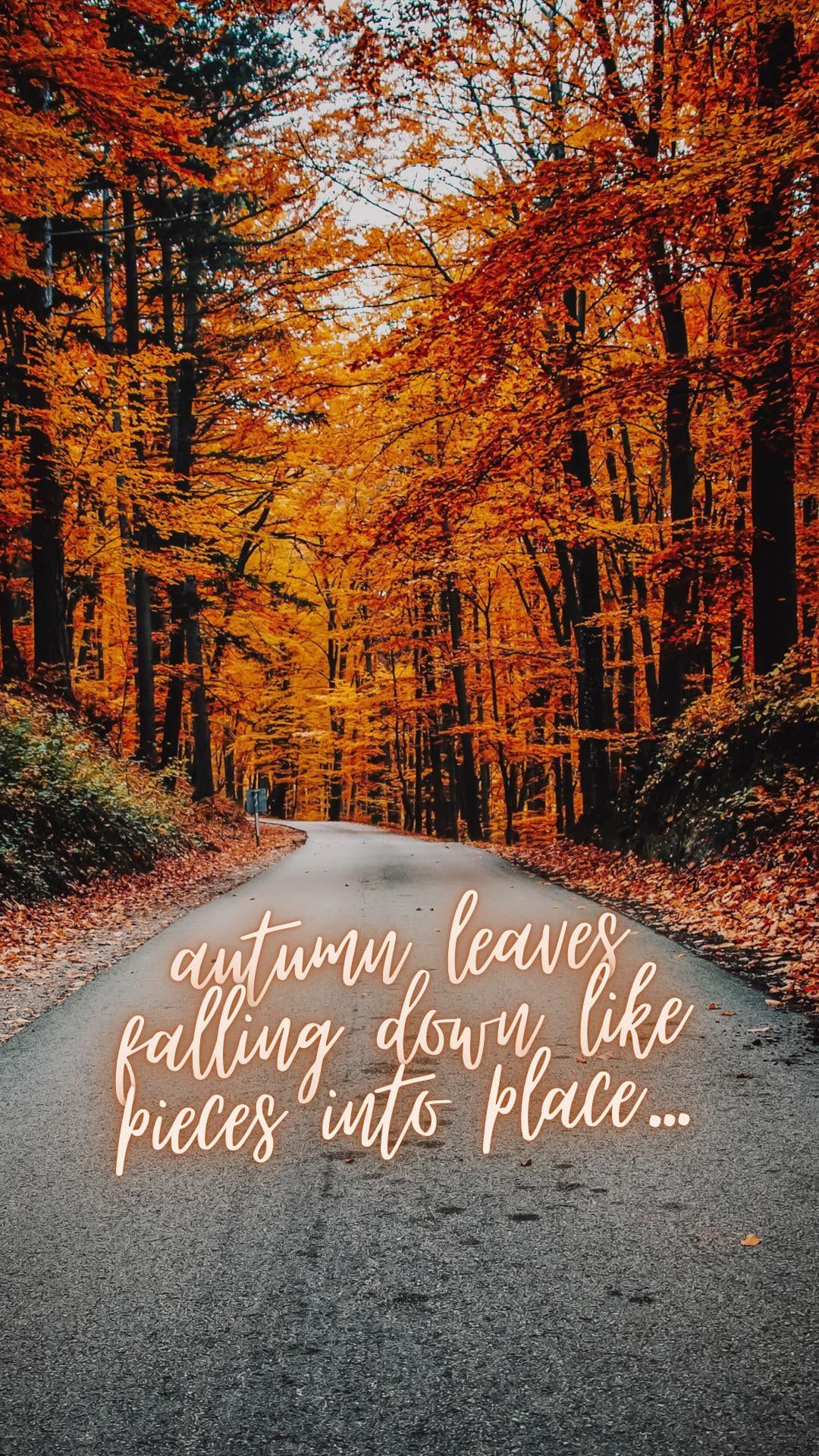 1080x1920 some lyric wallpaper i made! (all pics from )