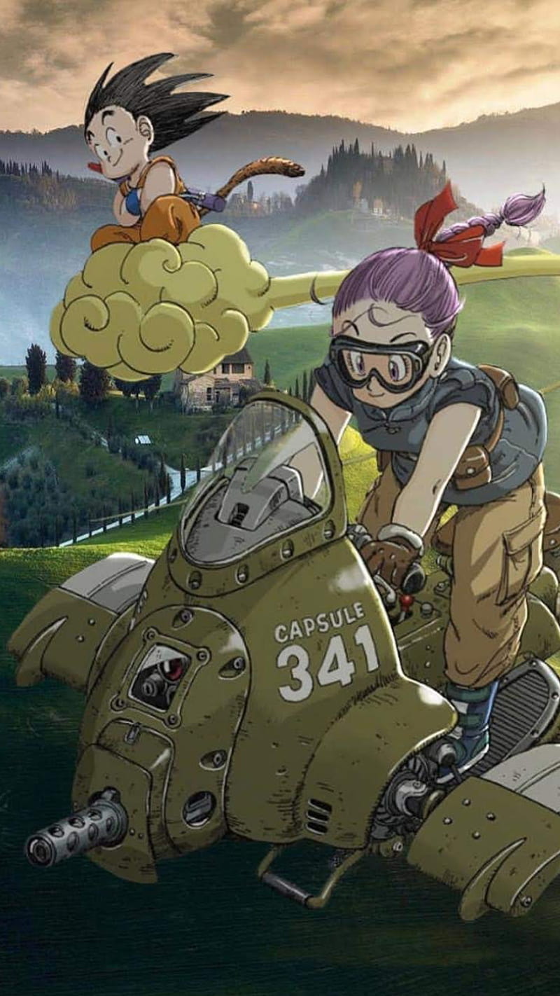 800x1422 Goku and Bulma, ball, bike, cloud, dragon, hair, kid, pink, son, HD phone wallpaper