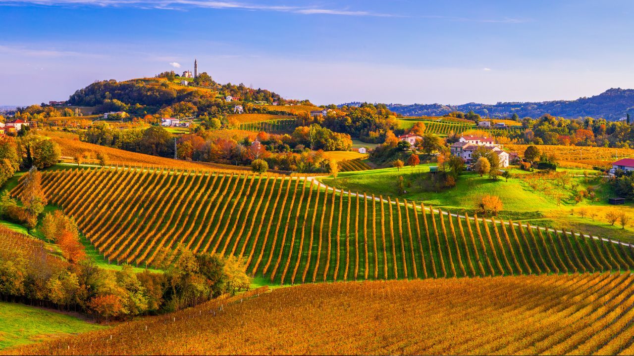 1280x720 Bing Wallpaper Archive