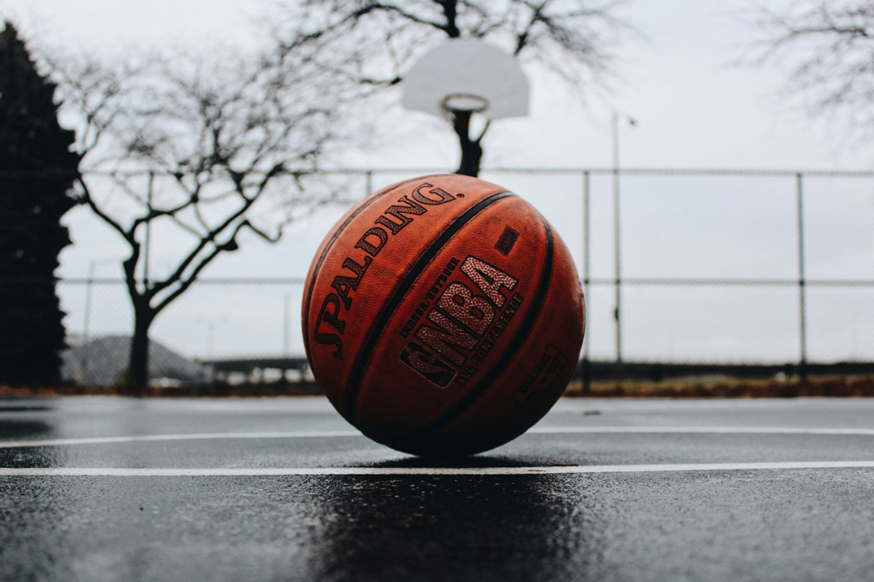3000x1999 Basketball Wallpaper: Free HD Download [4K]