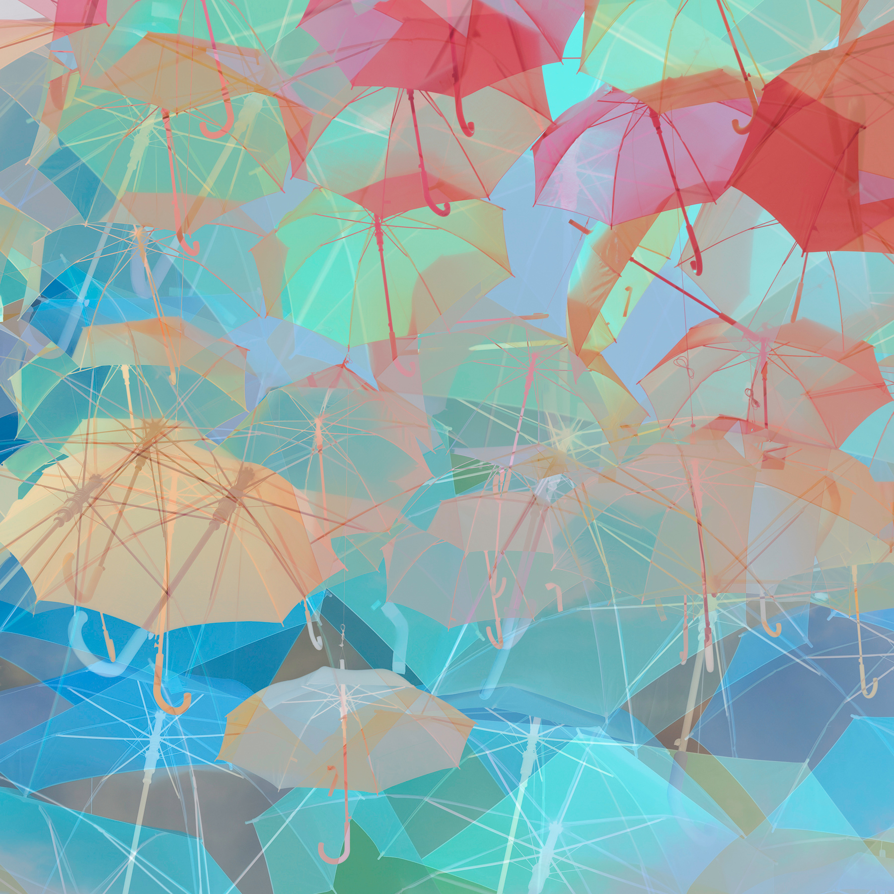 1800x1800 Come Rain or Shine