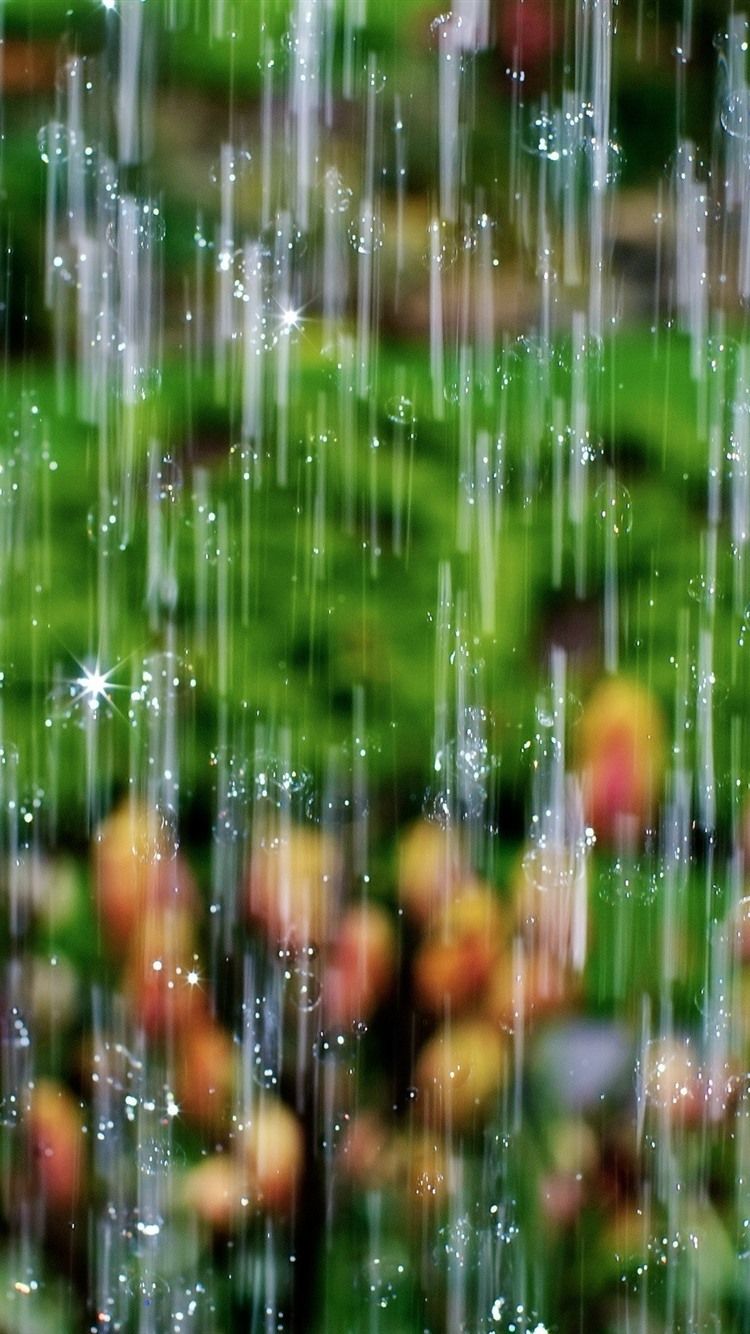 750x1334 Heavy Rain, Water Droplets, Shine 750x1334 IPhone 8 7 6 6S Wallpaper, Background, Picture, Image