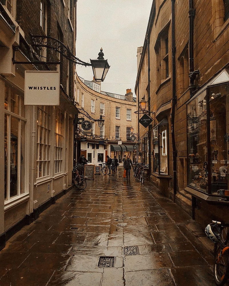 800x1000 Rainy day, rain, rainyday, nature, street, HD phone wallpaper