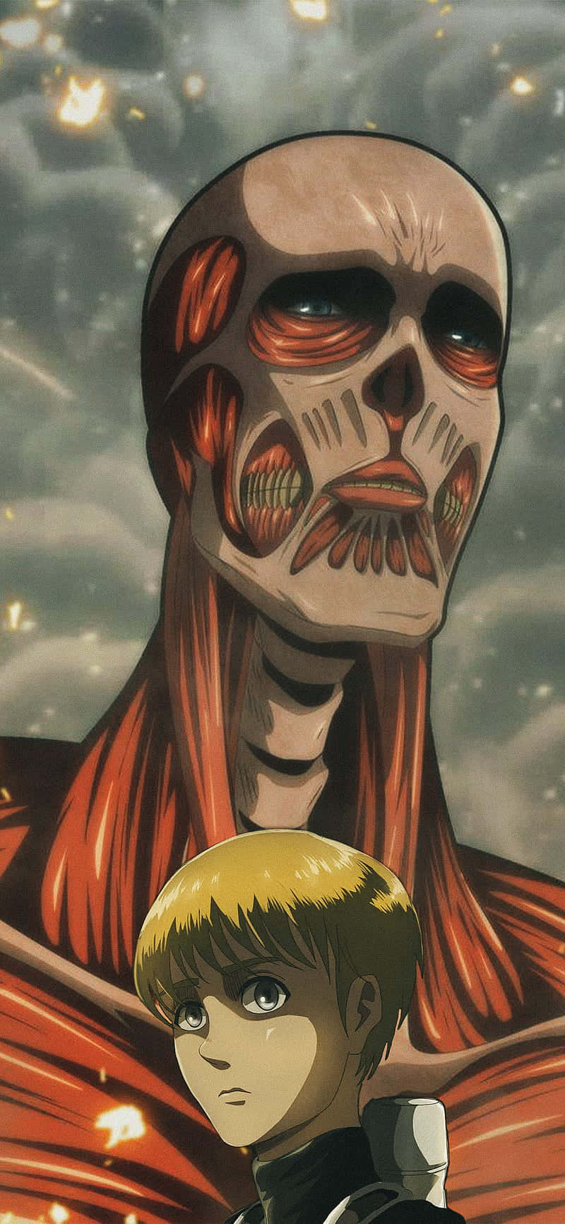 800x1732 Download Colossal Titan Arlert Wallpaper