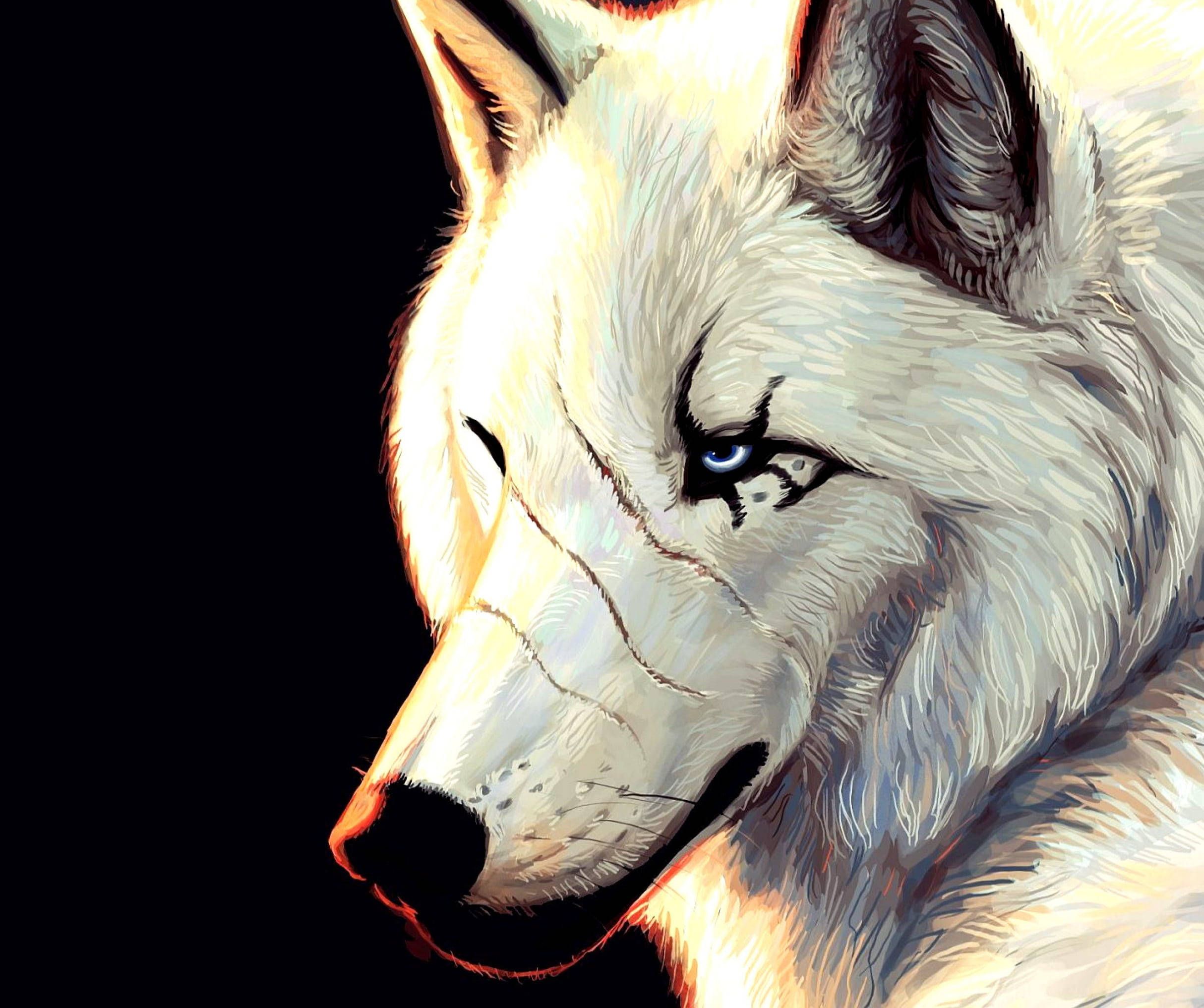 2428x2033 Download Anime Wolf White Aesthetic With Scars Wallpaper