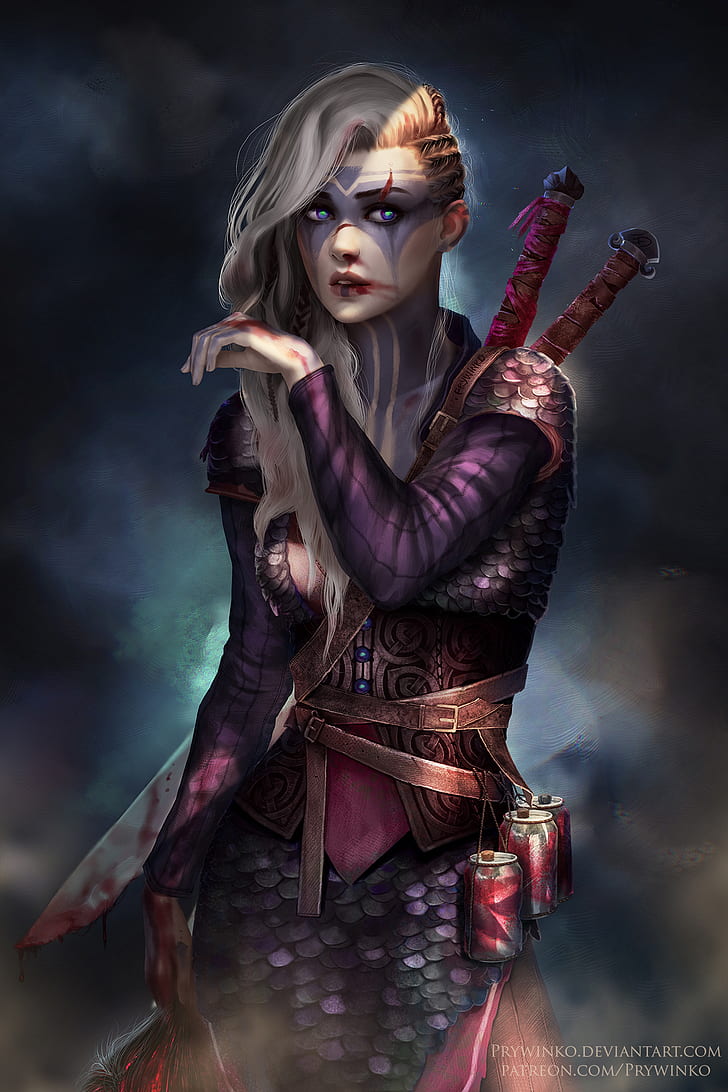 728x1092 HD wallpaper: Heilog, women, white hair, braided hair, sword, weapon, blood