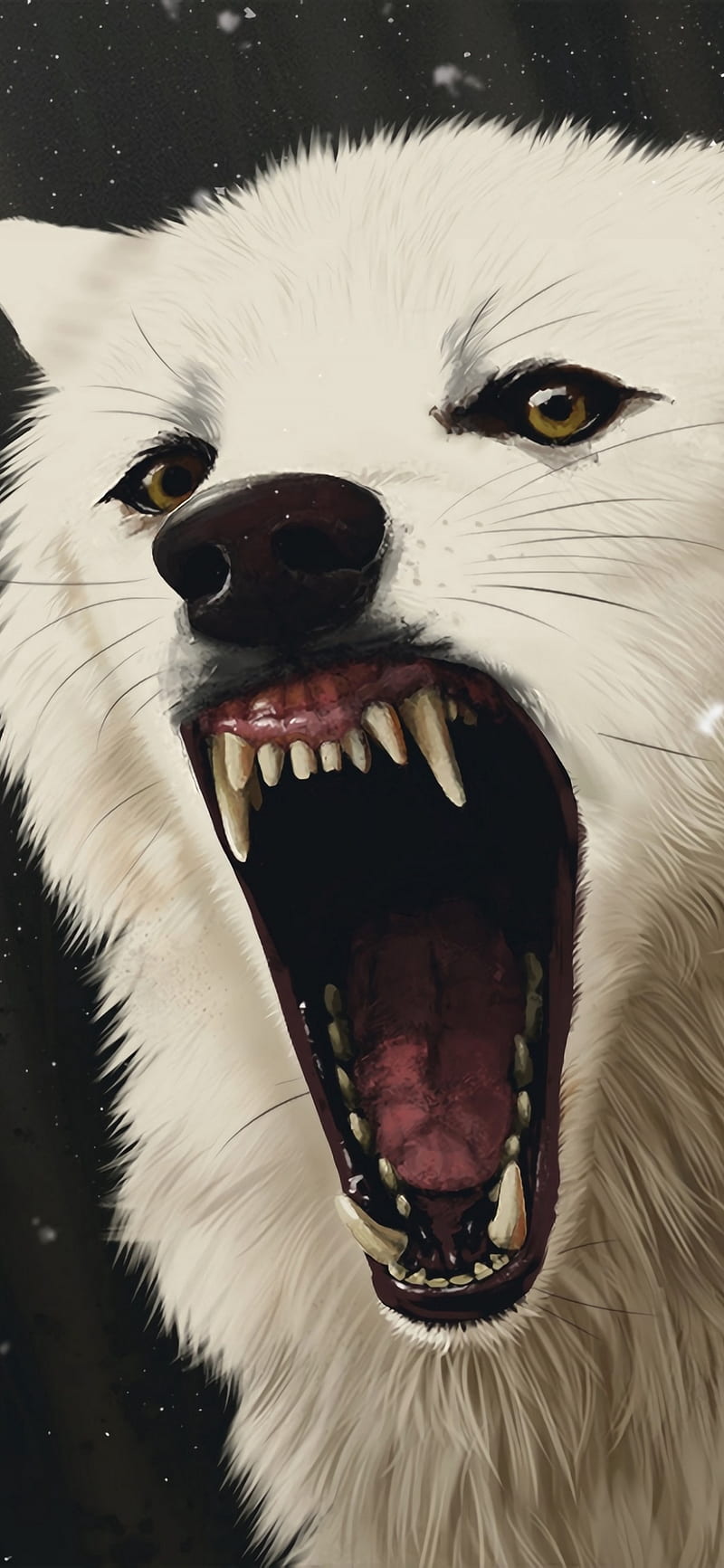 800x1733 HD white scars wallpaper