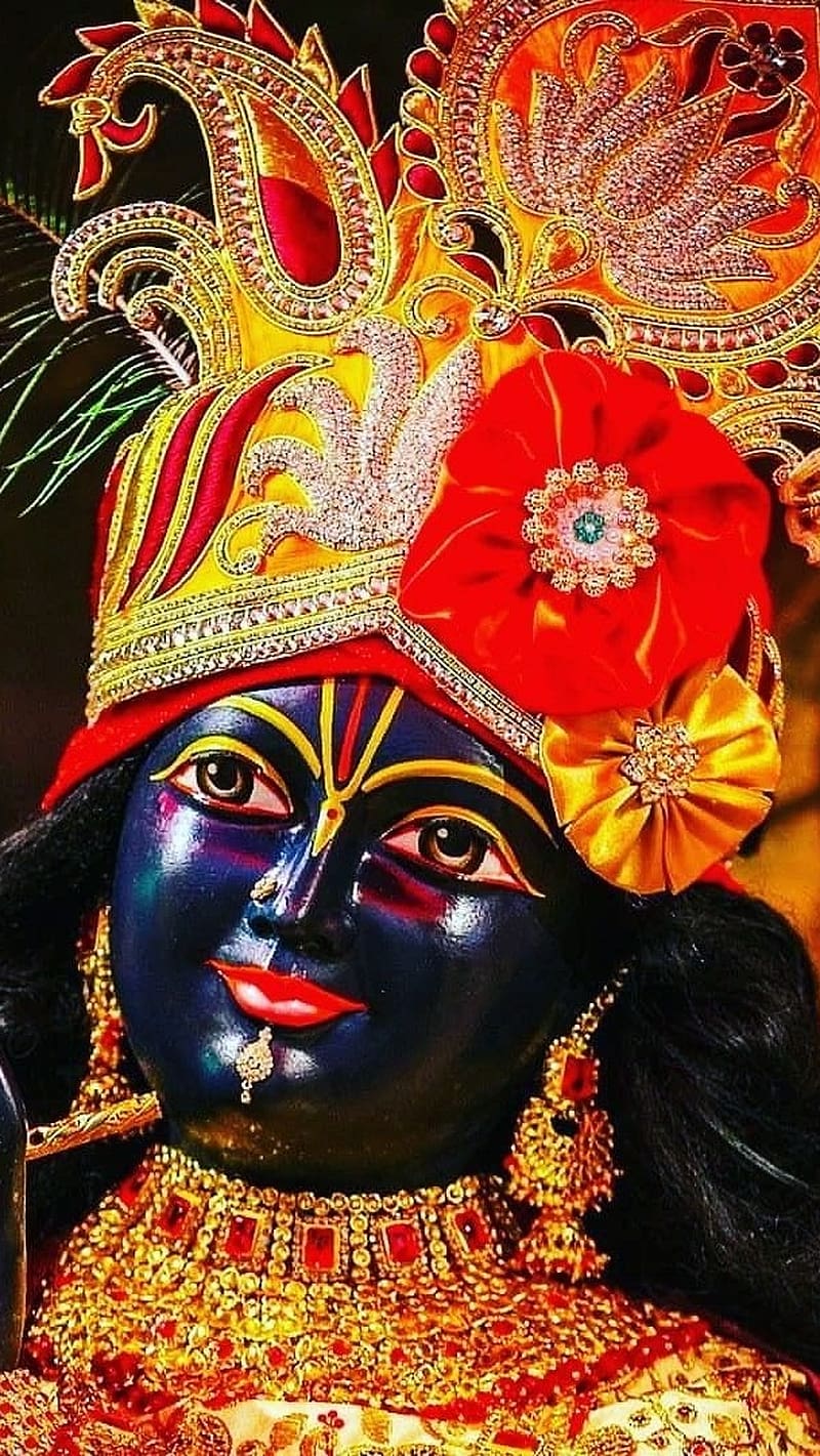 800x1421 HD banke bihari statue wallpaper