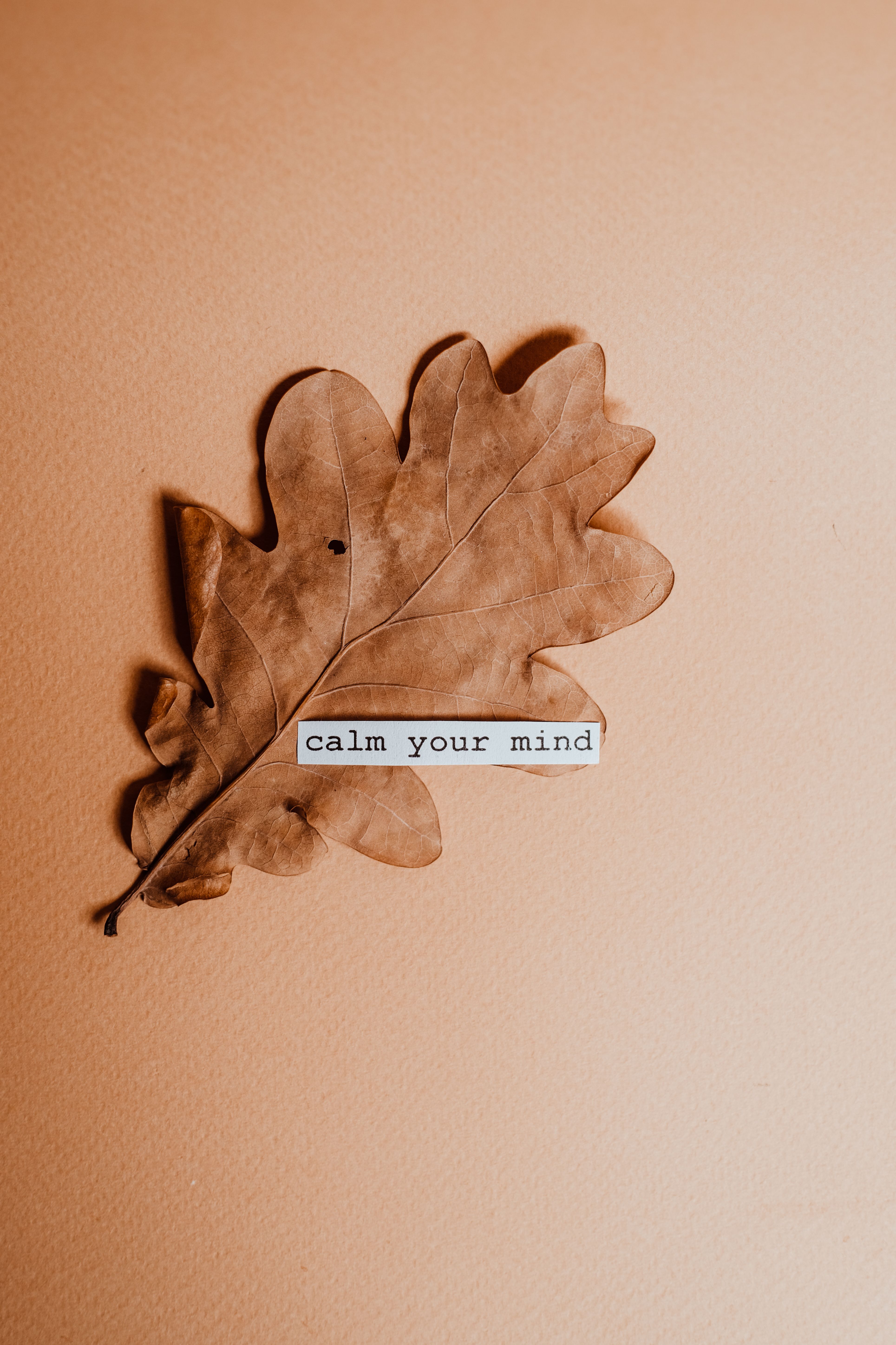 3858x5788 Brown Dried Leaf with a Quote · Free