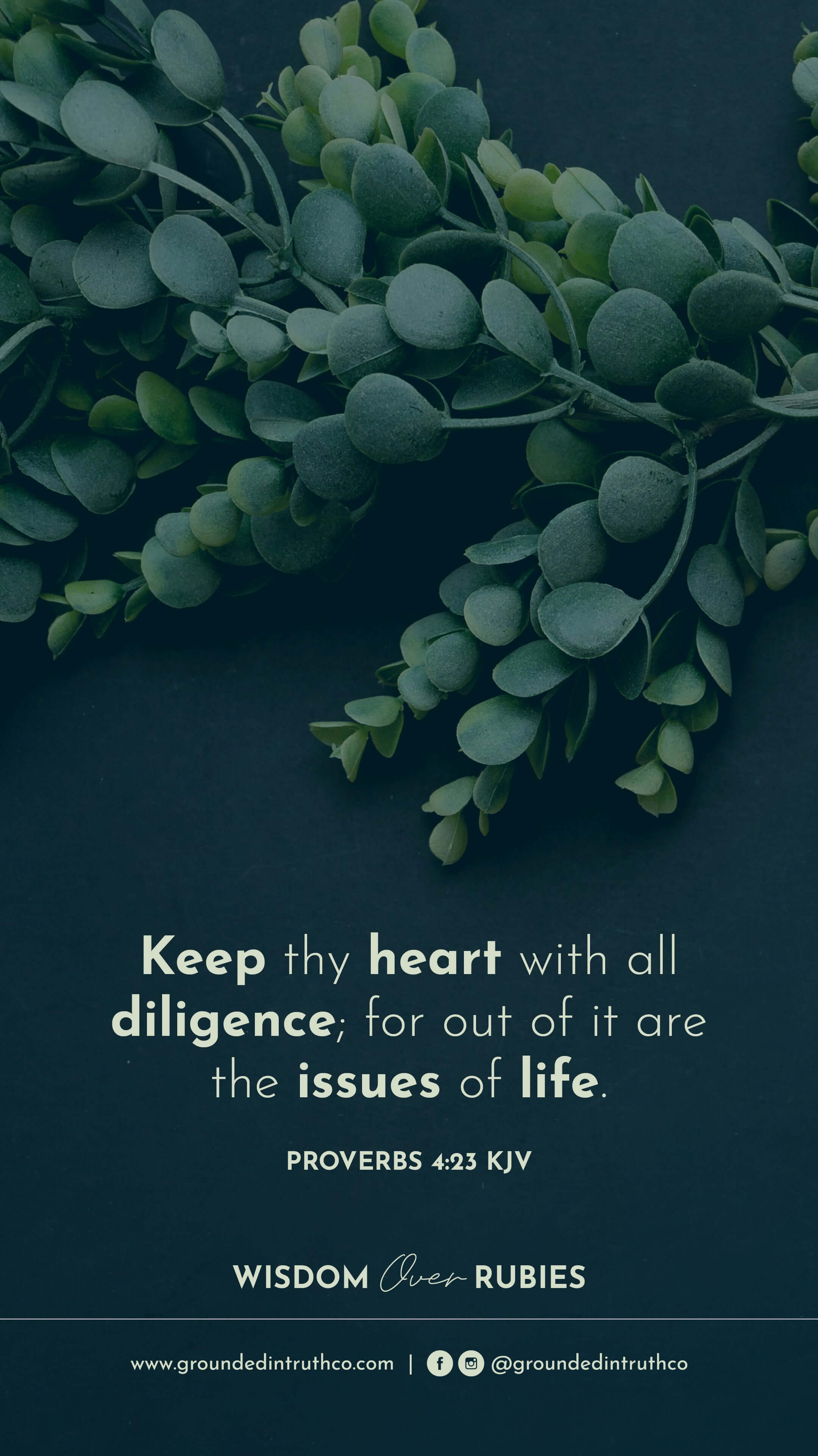 2160x3840 Proverbs 4 23. Bible Verse Wallpaper