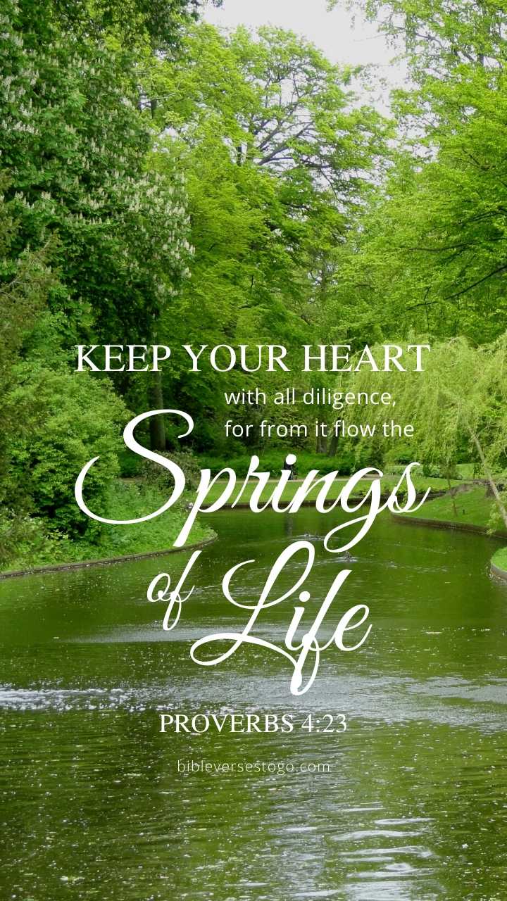 720x1280 Stream Proverbs 4:23