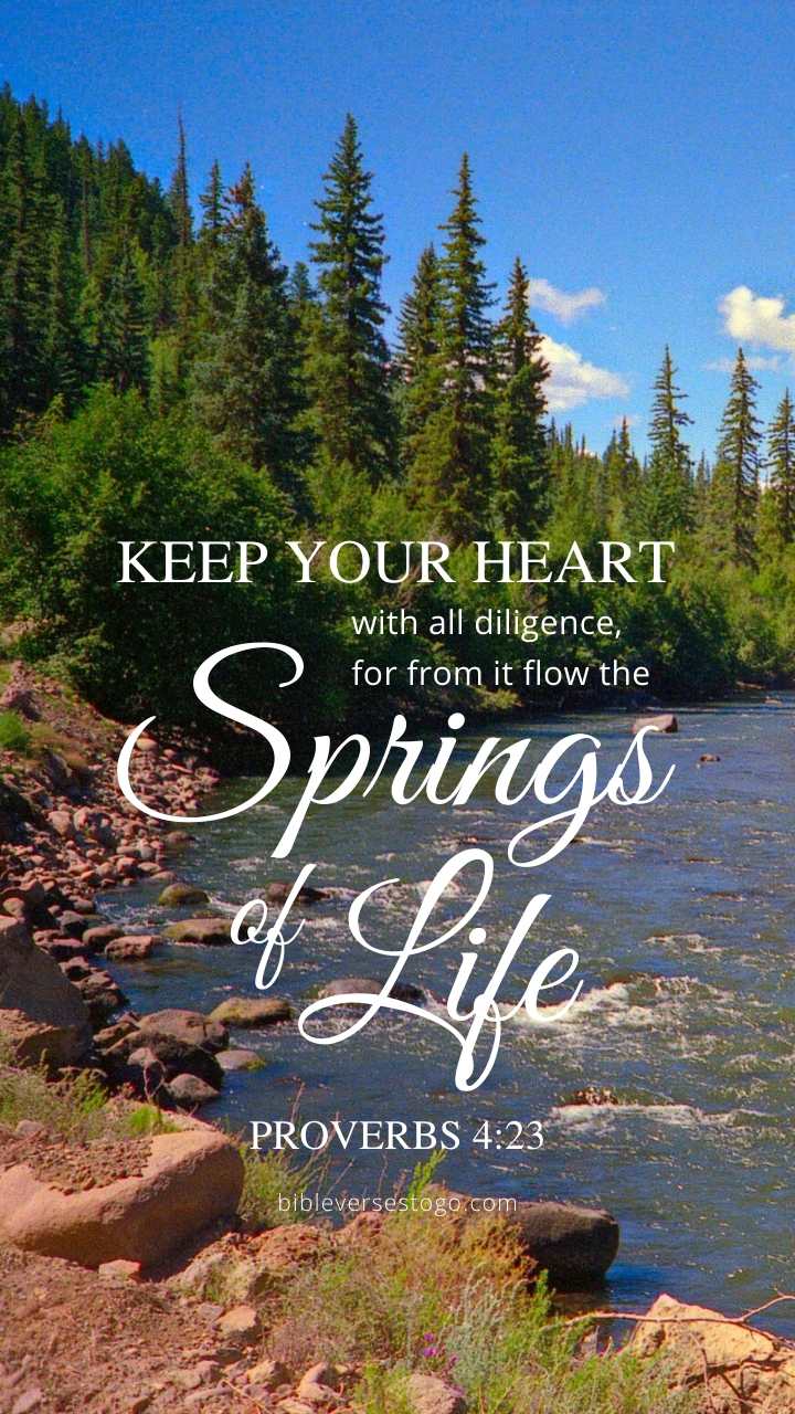 720x1280 Mtn Stream Proverbs 4:23