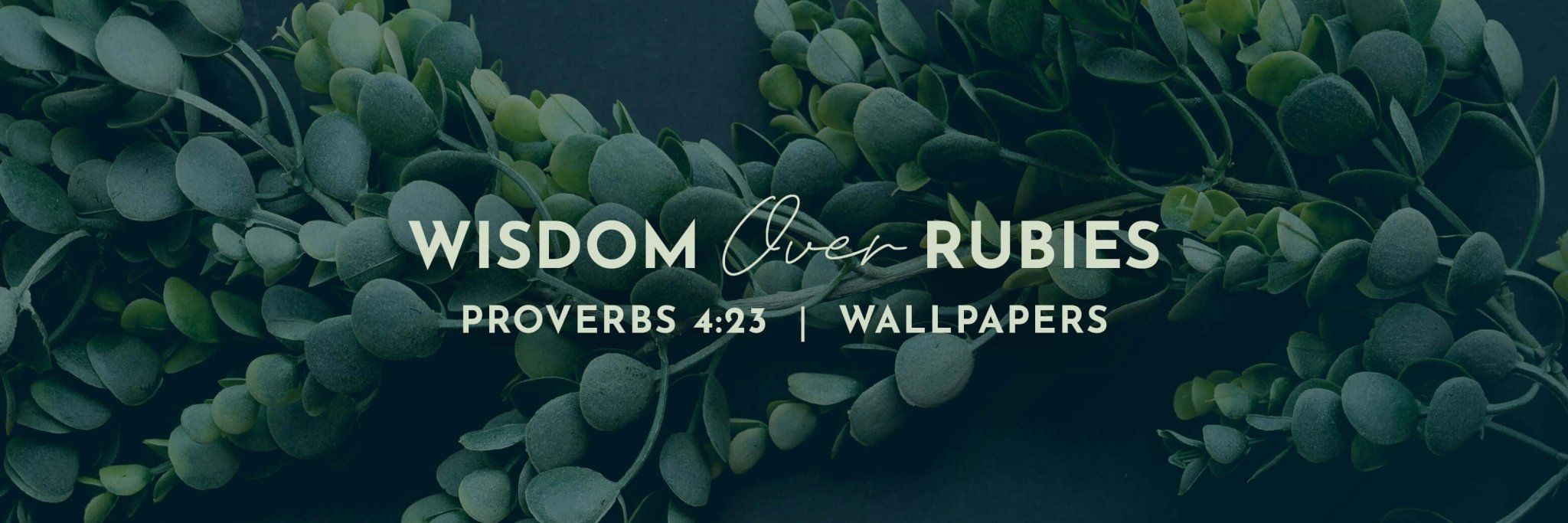 2048x683 Proverbs 4 23. Bible Verse Wallpaper