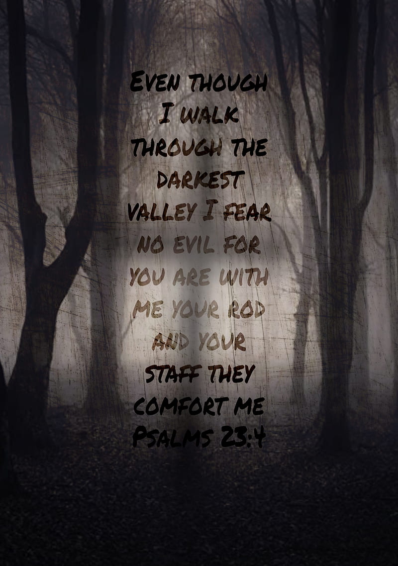 800x1138 Psalms 23 great verse, HD phone wallpaper