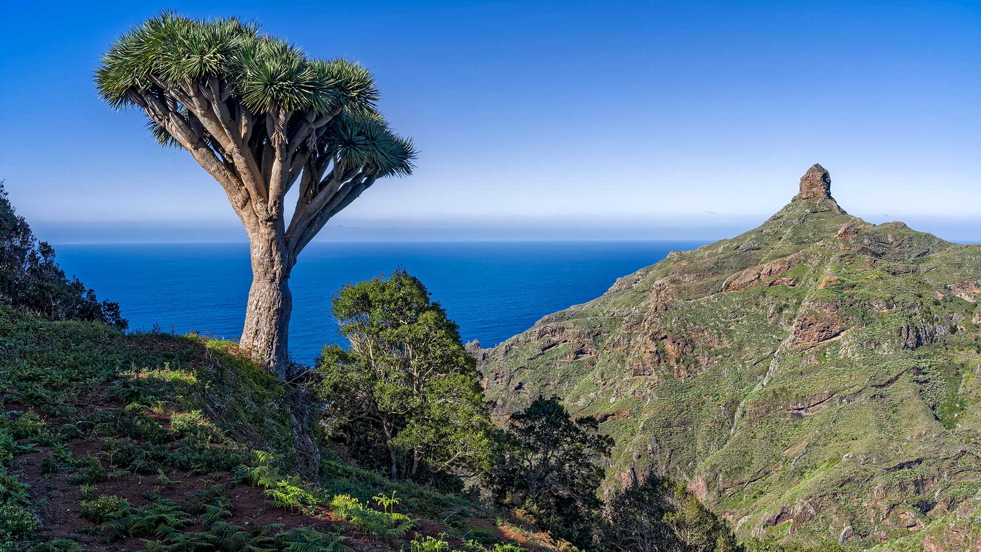 1920x1080 Roque de Taborno view from Las Carboneras, Anaga Rural Park, Tenerife, Canary Islands, Spain. Windows Spotlight Image
