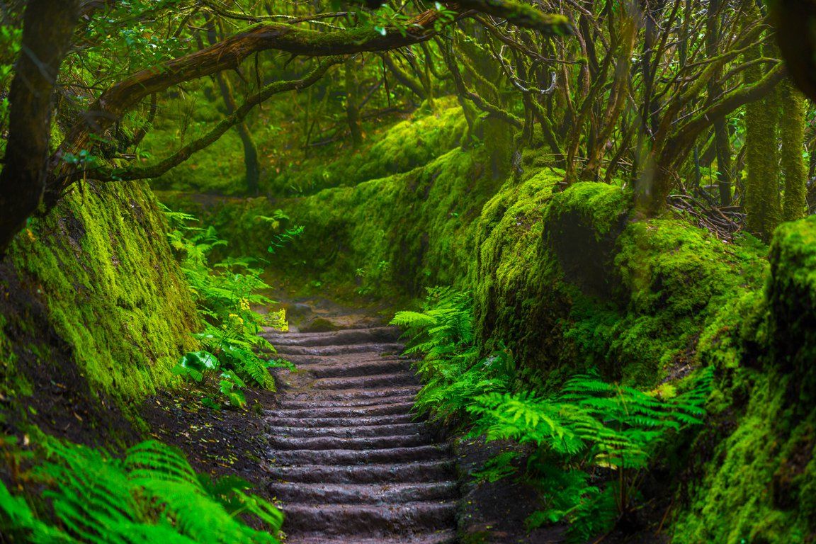 1152x768 The most beautiful trails in Anaga mountains