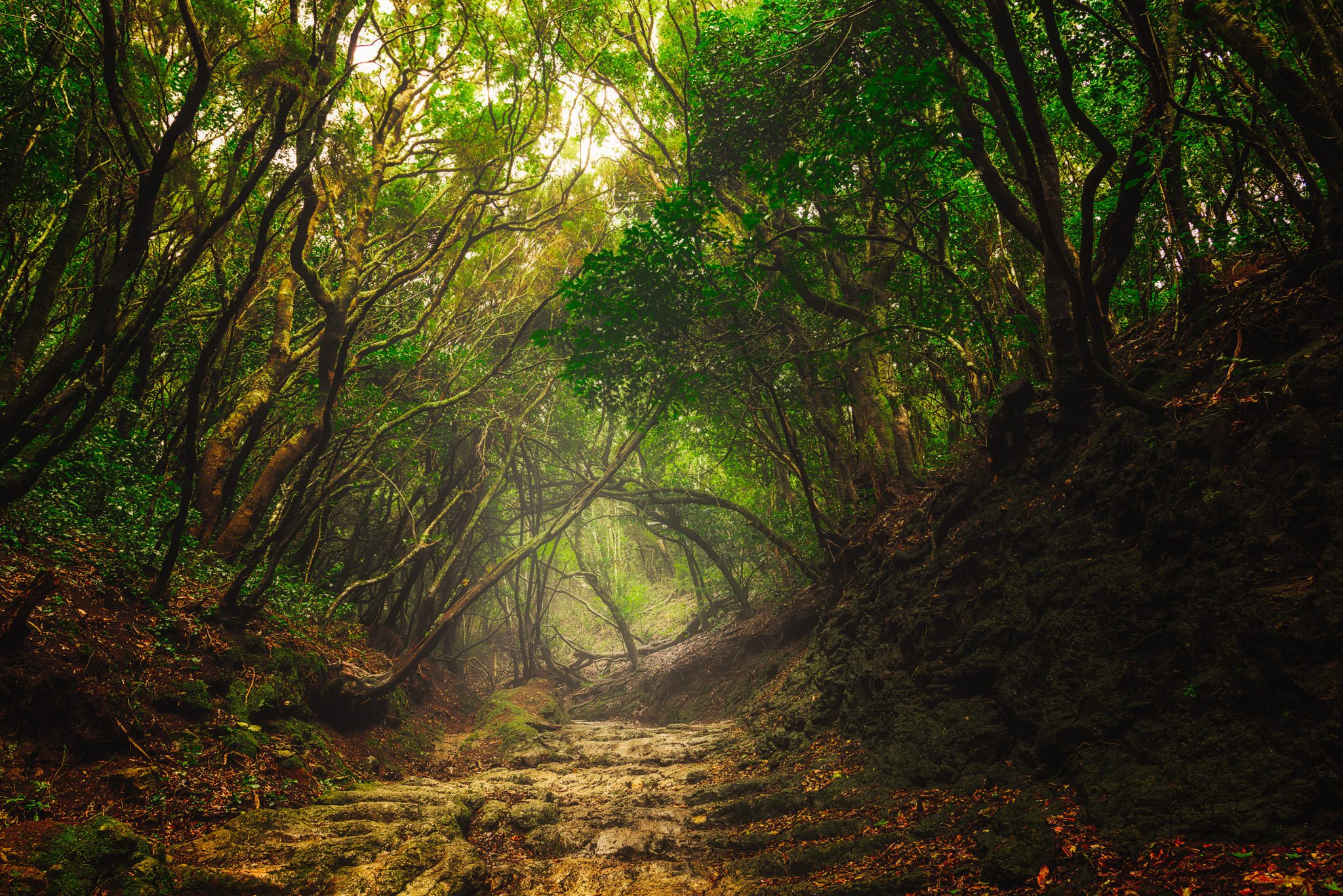 2048x1367 Anaga Mountains in Tenerife