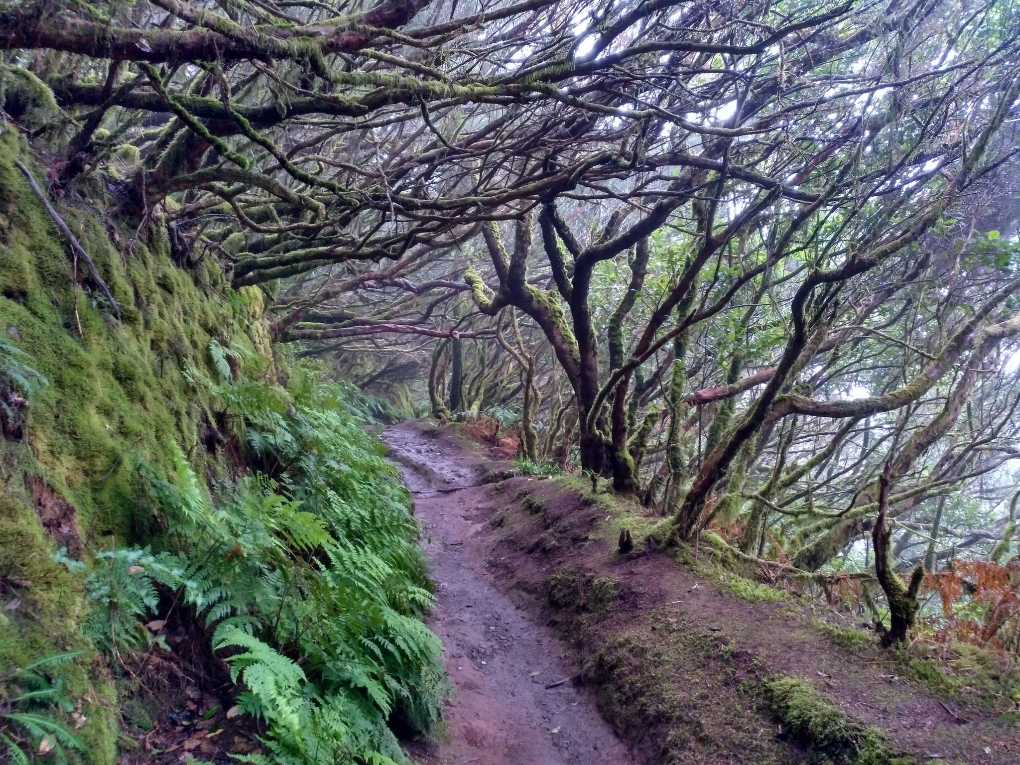 2048x1536 View of the Anaga Rural Park