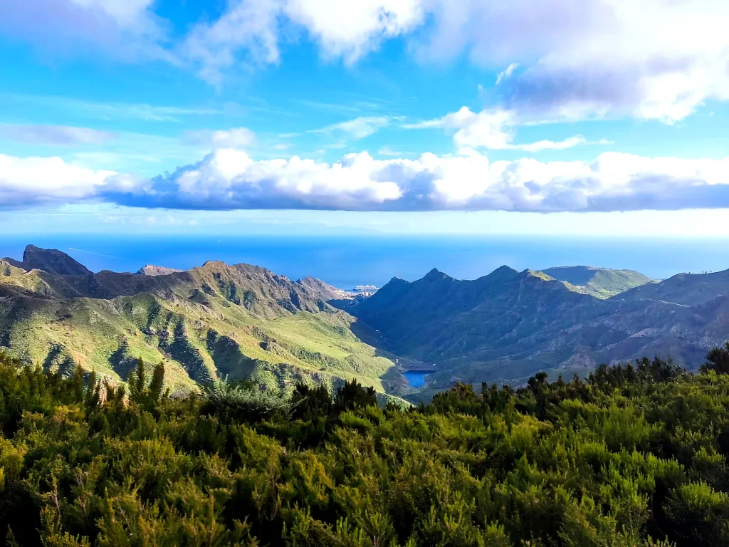 1024x768 Cruz del Carmen Tenerife: Anaga Mirador, Forest & Trails