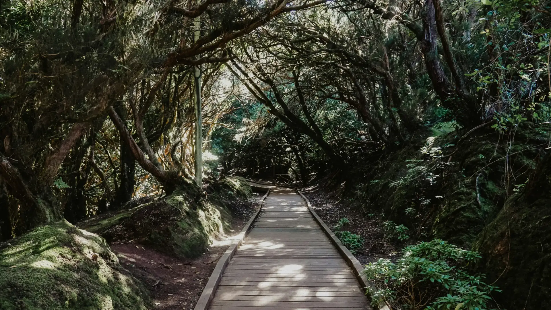 1920x1080 What to see in Tenerife in a week: complete itinerary 2026