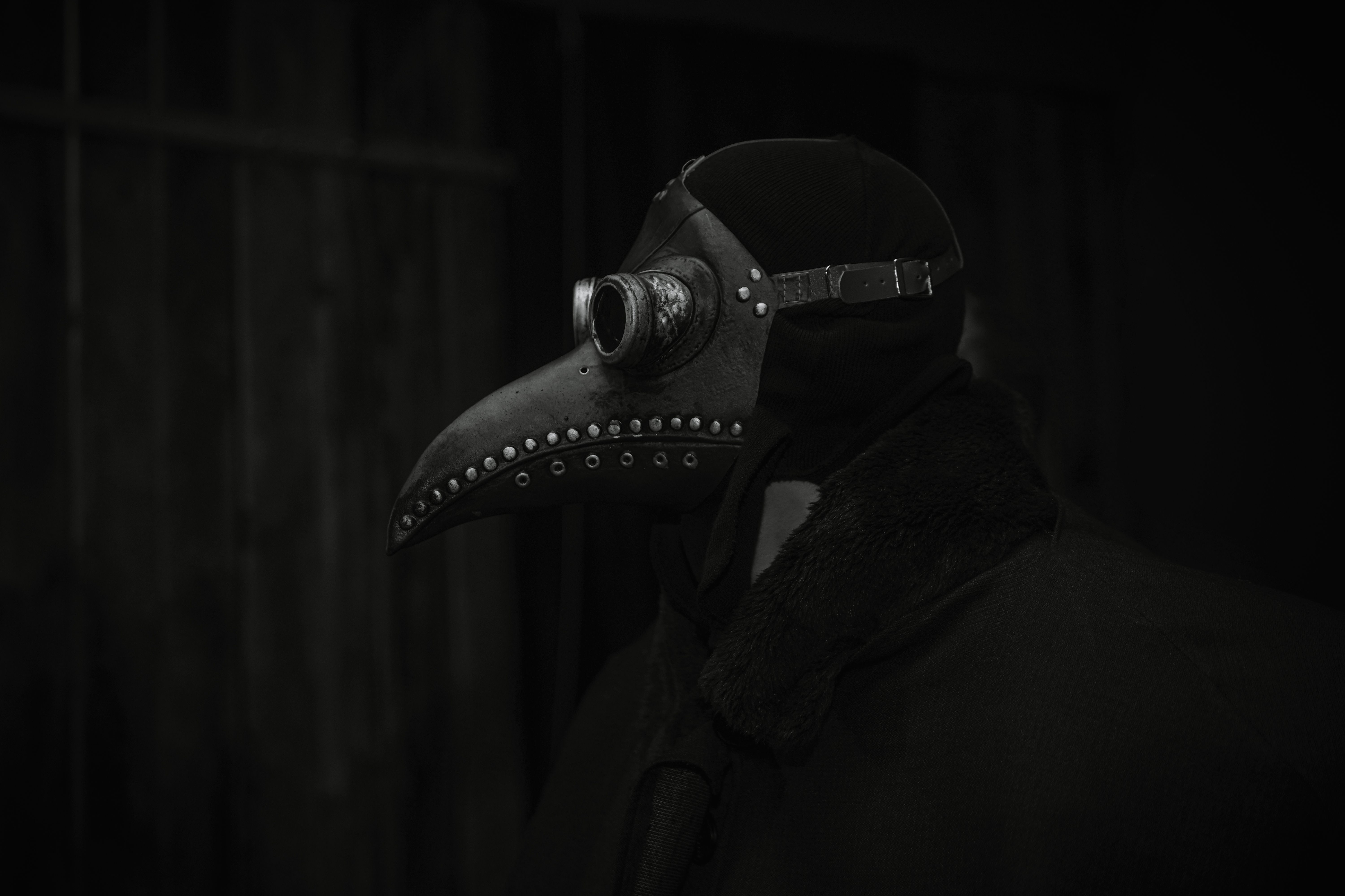 6000x4000 Plague Doctor Inspired Leather Mask · Free