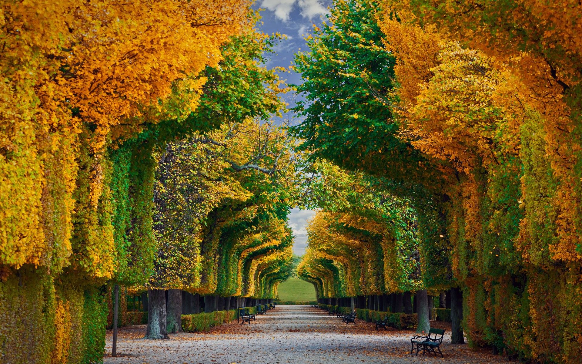 1920x1200 Schonbrunn Palace Gardens Phone Wallpaper: Free 4K & HD Downloads