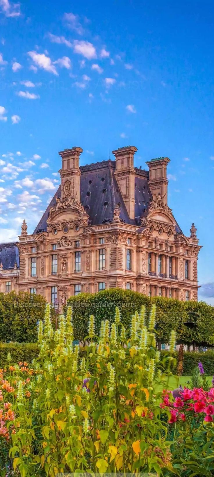 736x1641 The Place of Peace. Royal palace background hd, European castle wallpaper, Louvre wallpaper hd