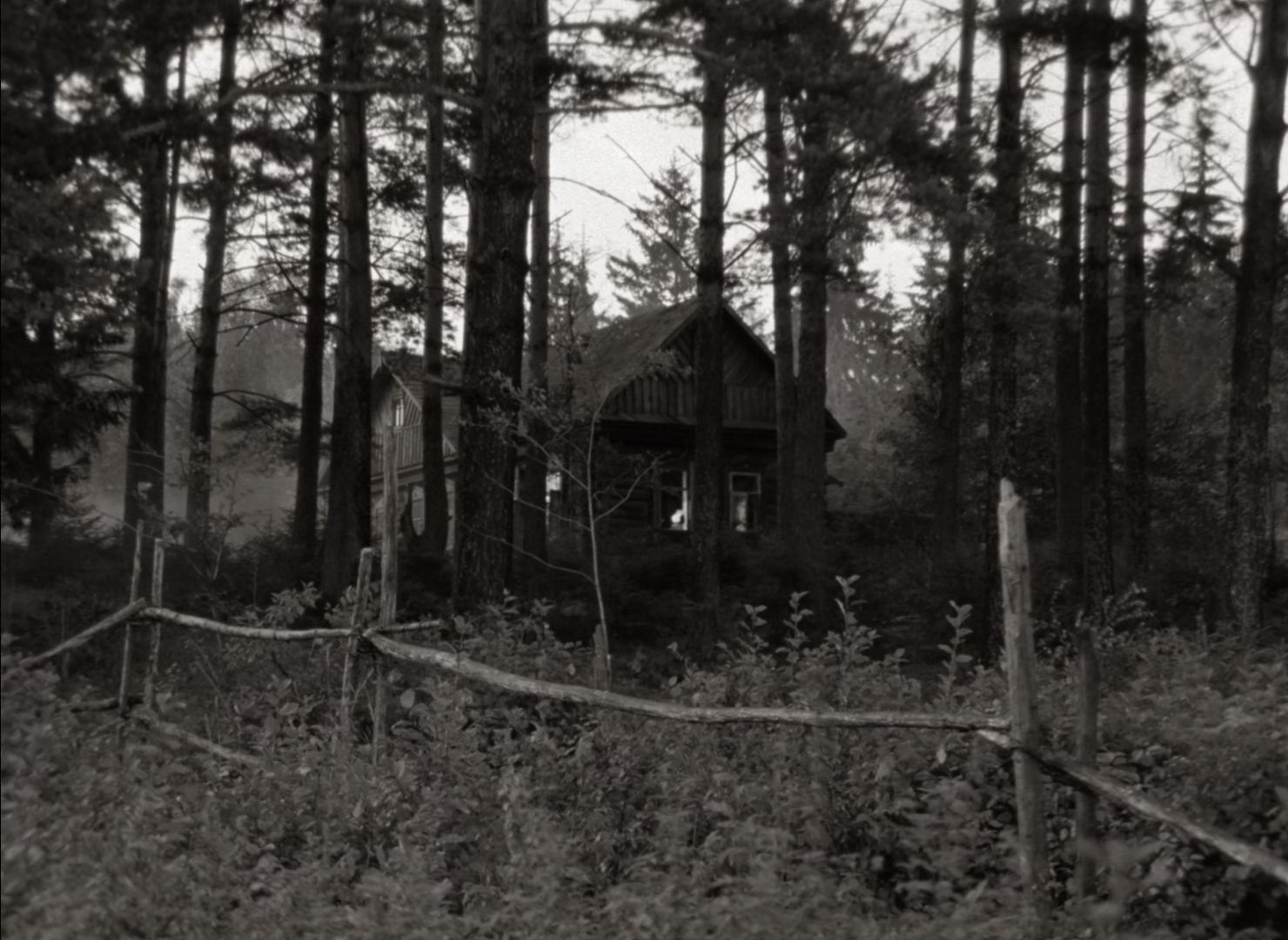 1480x1080 Mirror' by Andrei Tarkovsky Review: The beauty of life, and death