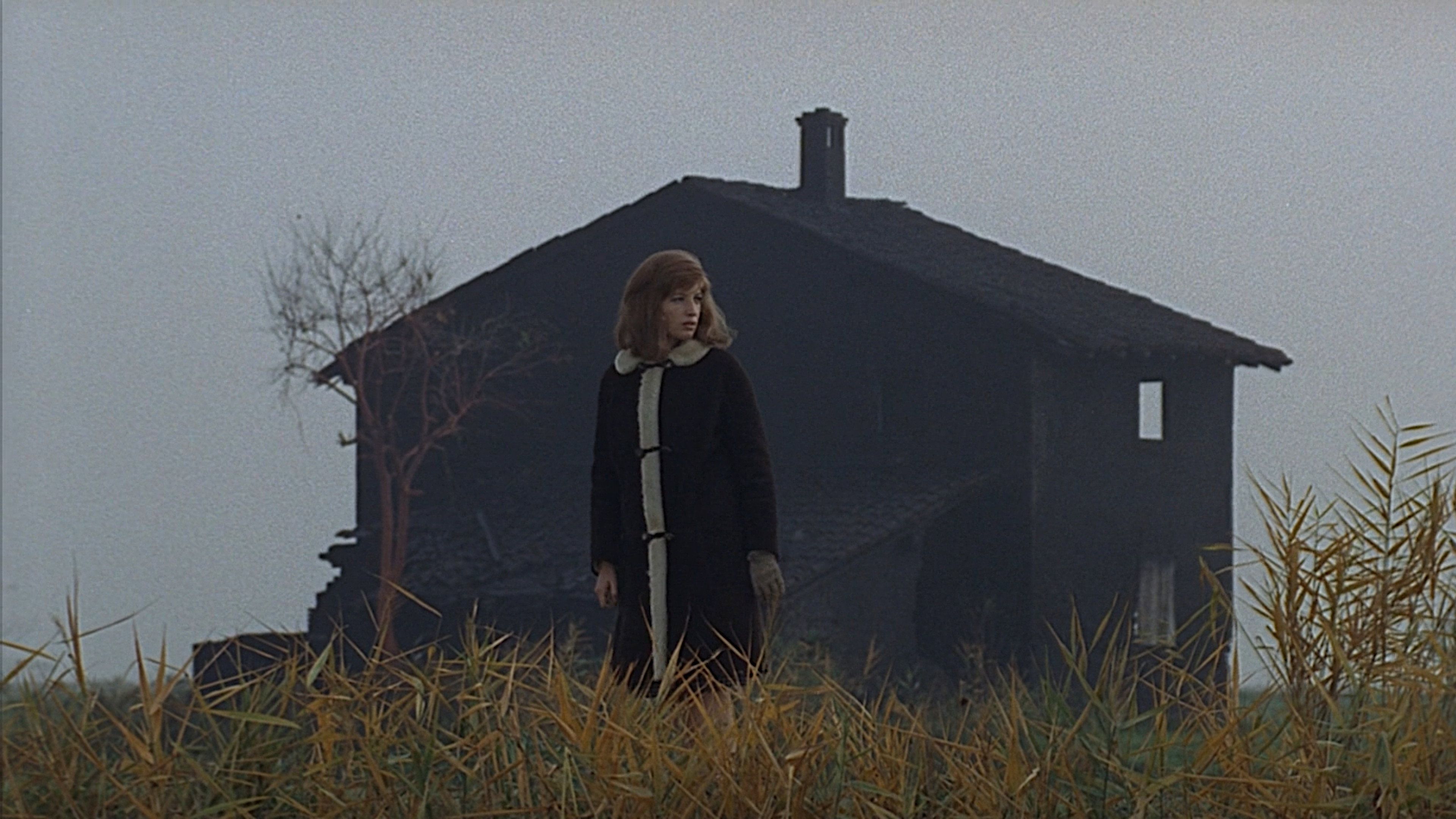 3840x2160 Red Desert (1964)