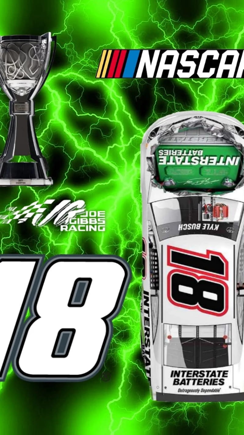 800x1422 Kyle Busch, interstate, nascar, HD phone wallpaper