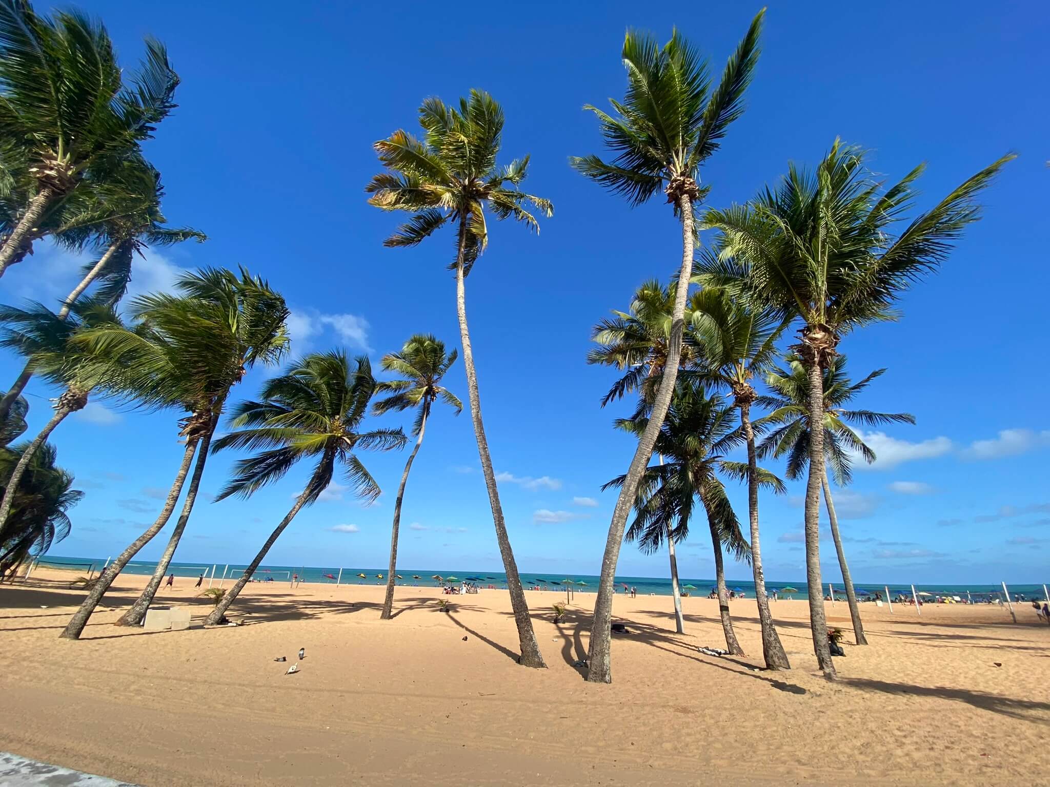 2048x1536 João Pessoa Brazil: Beaches, Natural Pools & Highlights