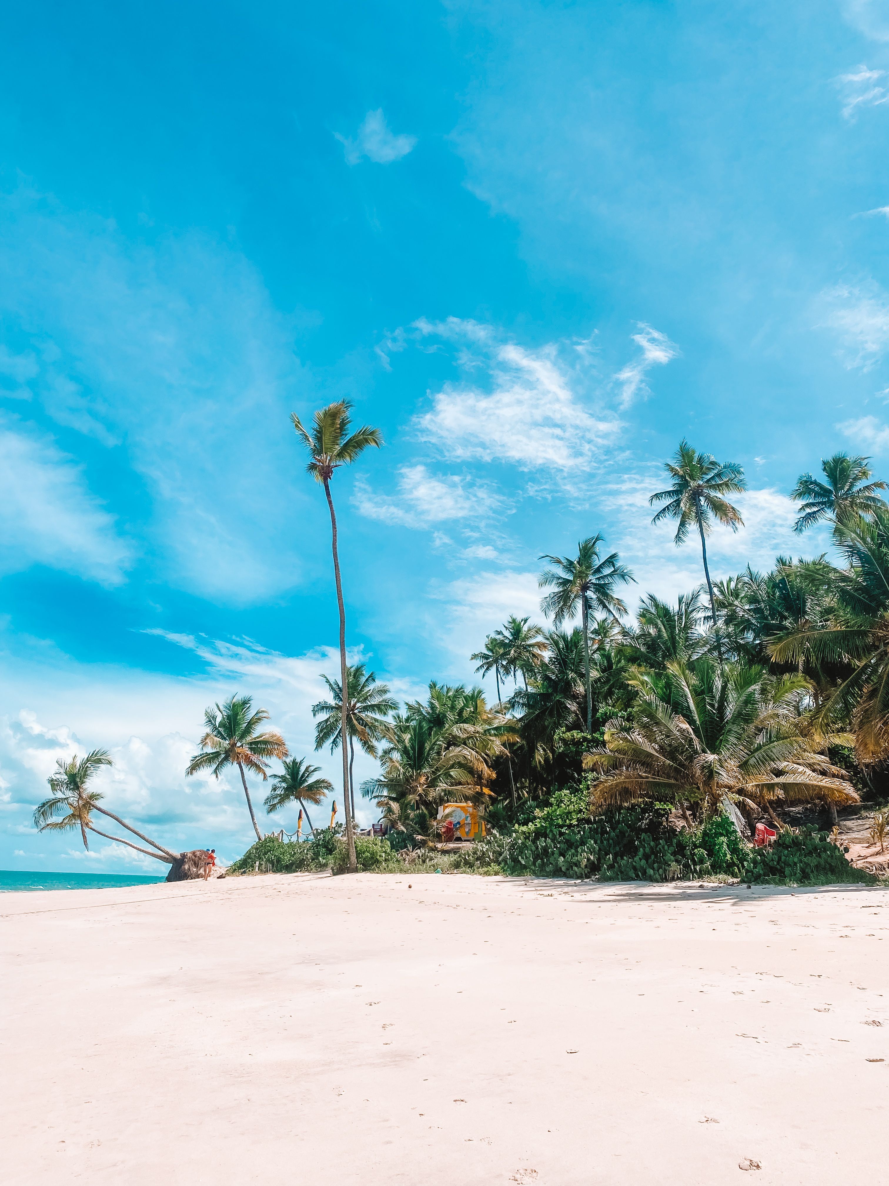 3024x4032 Scenic Beach View in João Pessoa, Brazil · Free
