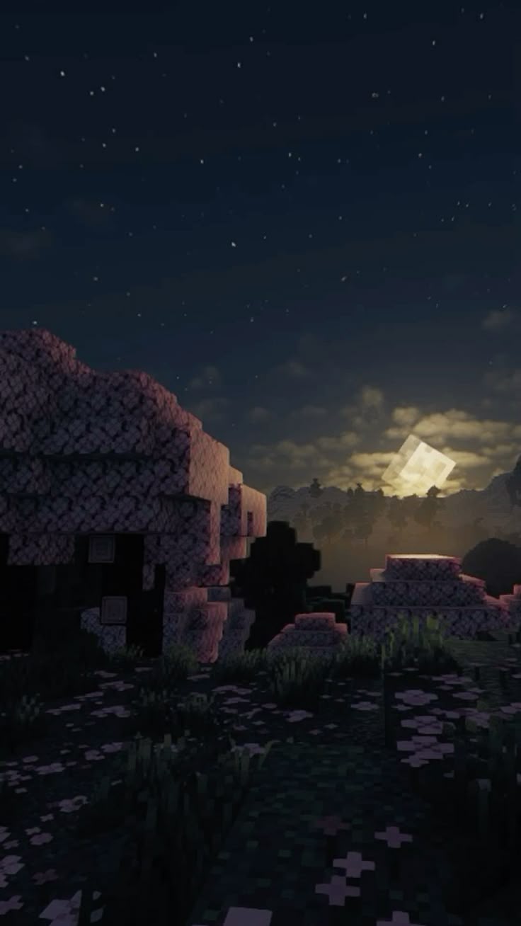 736x1308 Minecraft night wallpaper ✨