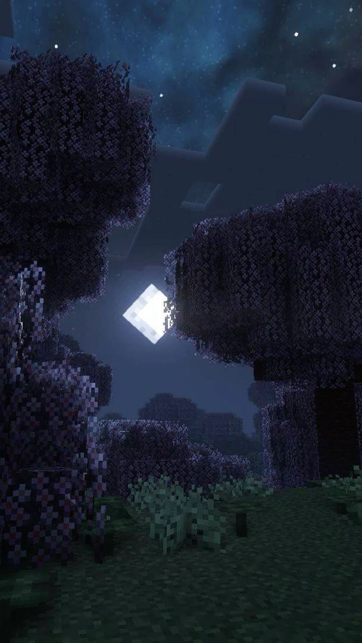 736x1308 Minecraft Wallpaper: Night Scene. Minecraft paisajes, Fondos de pantalla minecraft, Arte del fondo de pantalla