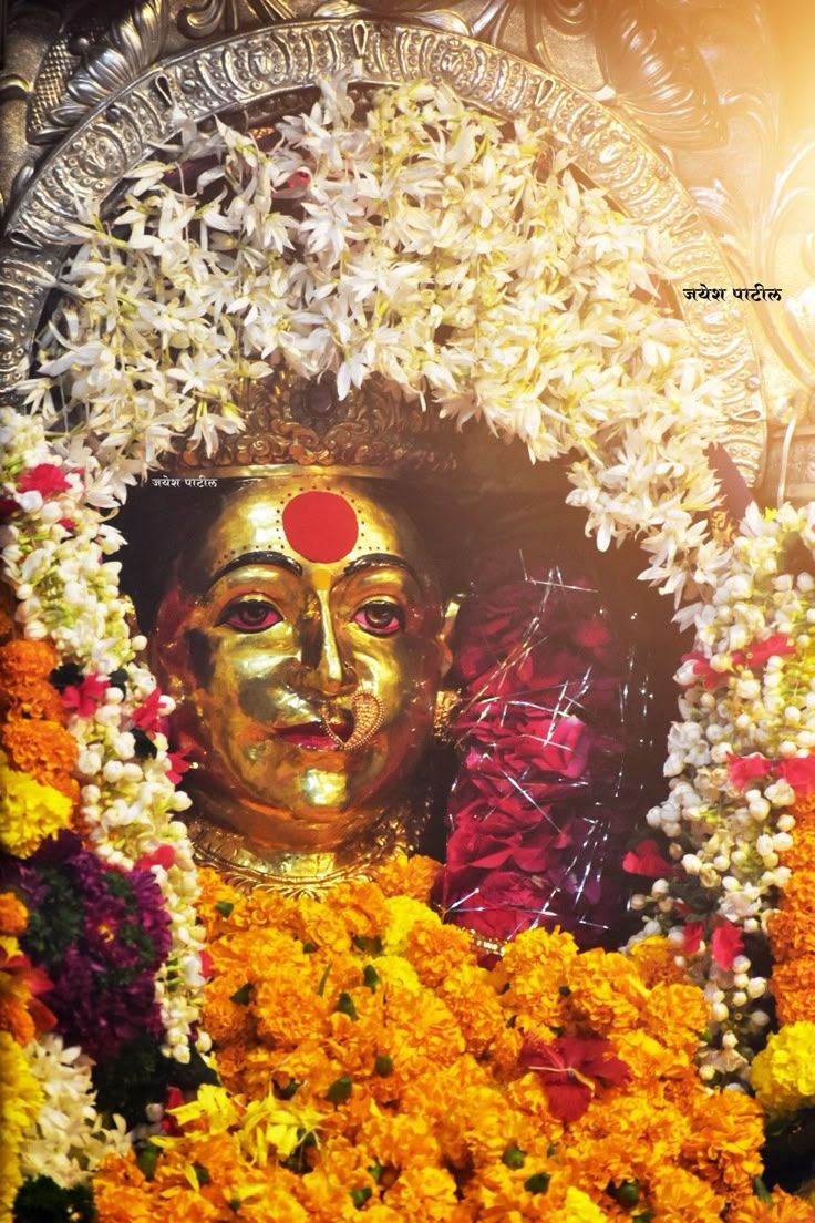 736x1104 Aai Ekveera HD Photo 4
