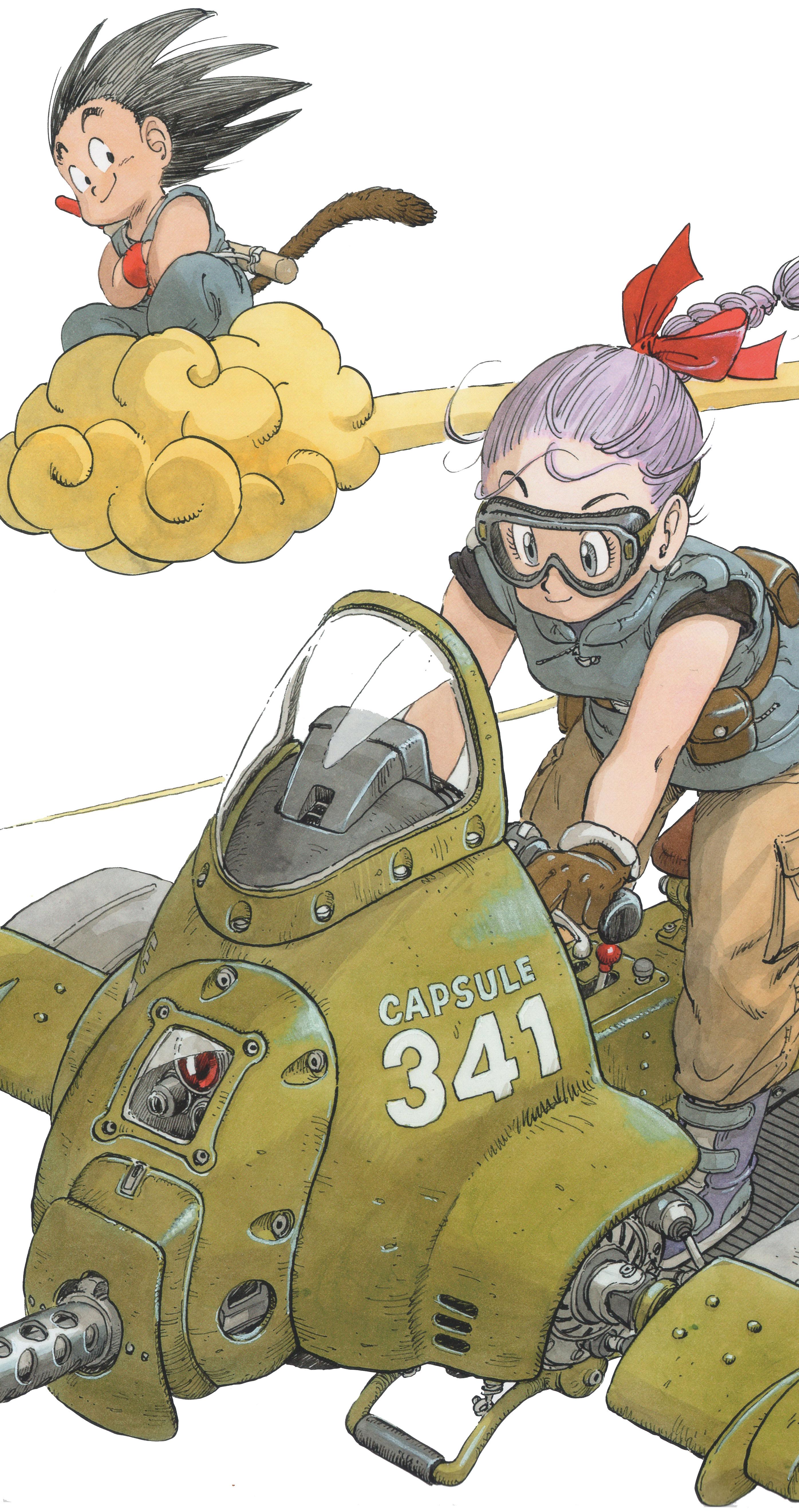 2791x5285 Goku and Bulma [Dragon Ball] (2791x5285)