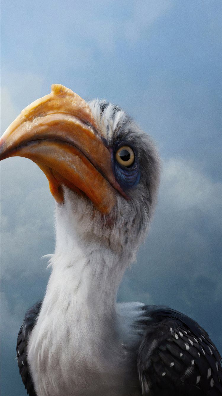 750x1334 john oliver as zazu in the lion king 2019 4k iPhone 8 Wallpaper Free Download