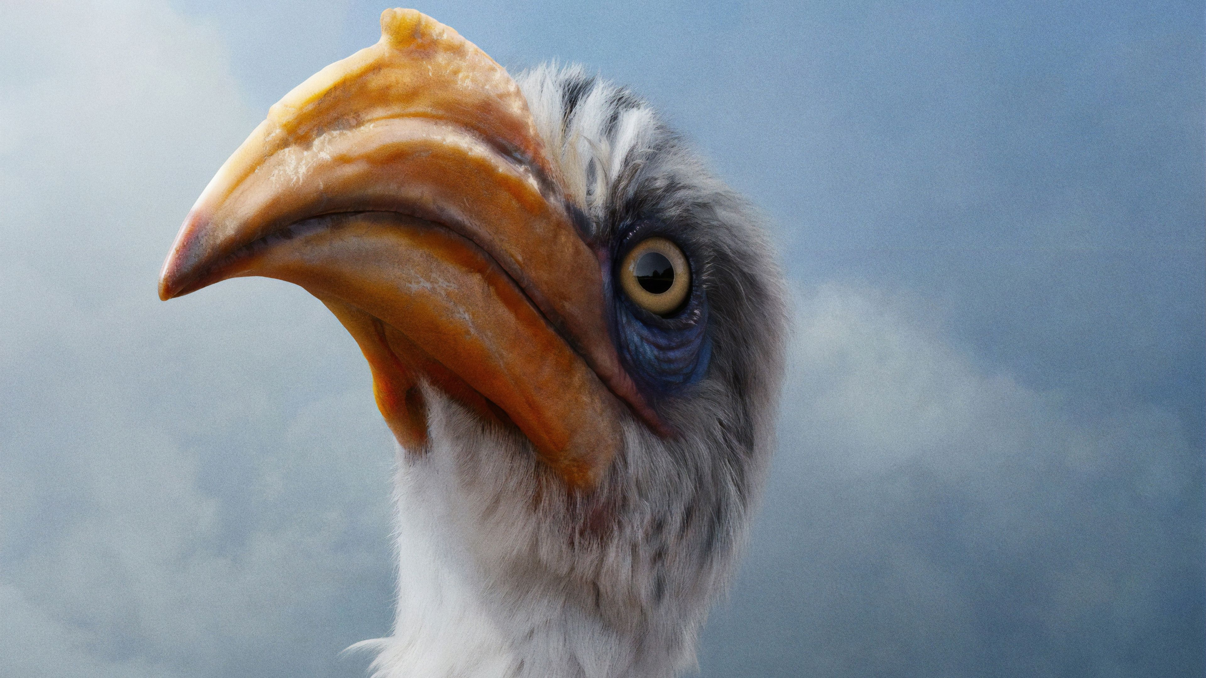 3840x2160 The Lion King 2019 Zazu 4K Wallpaper HD