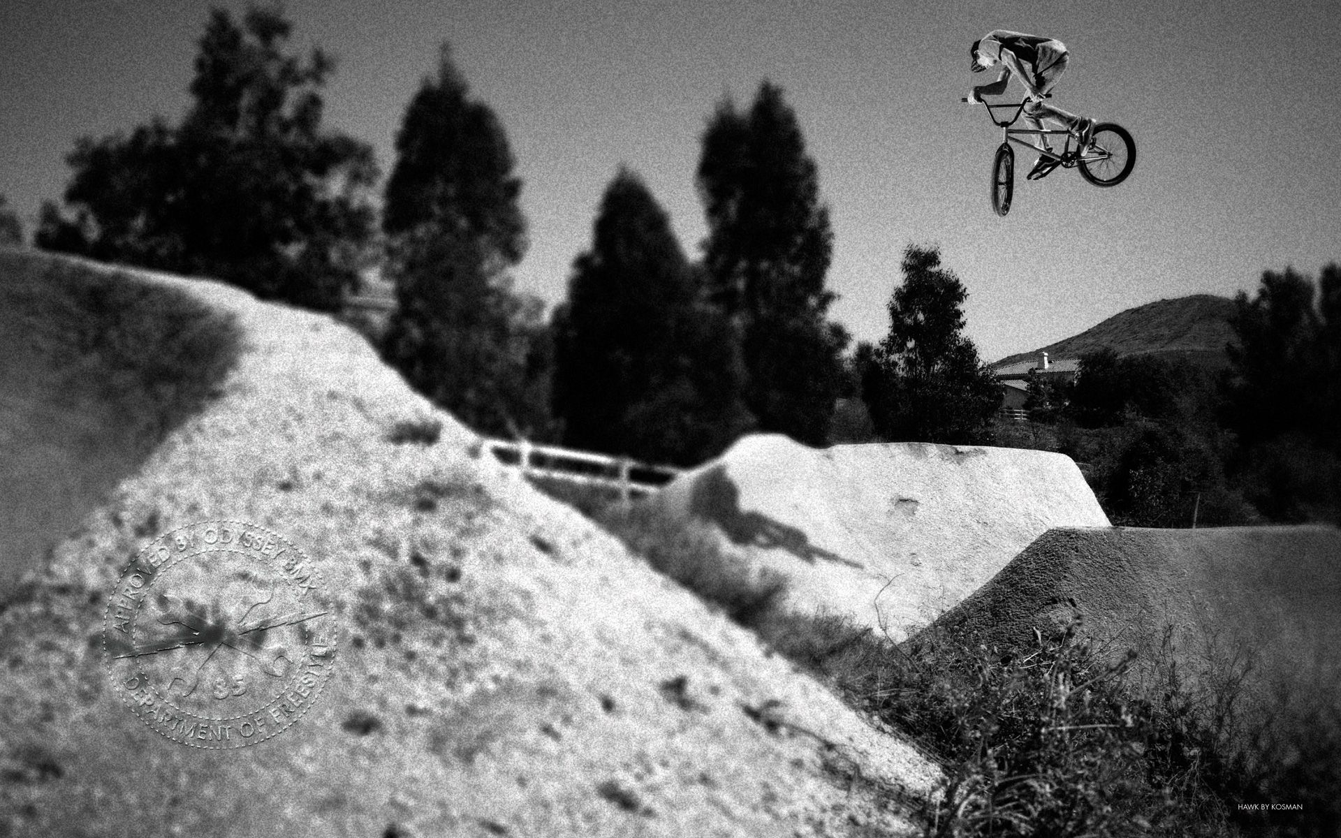 1920x1200 Chase Hawk