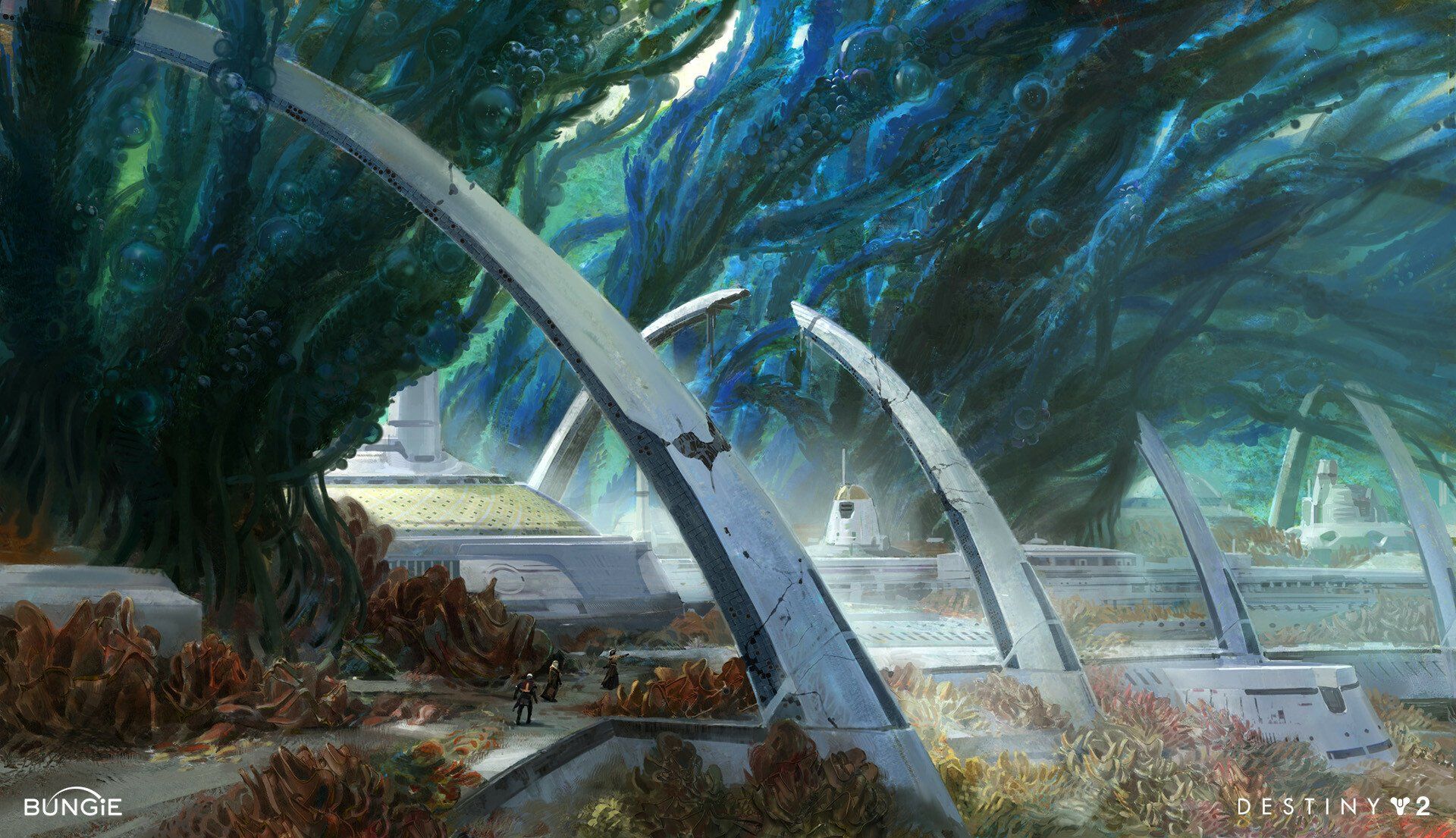 1920x1105 Destiny 2 HD Wallpaper: Mystical Forest Arches in Stunning Game Art