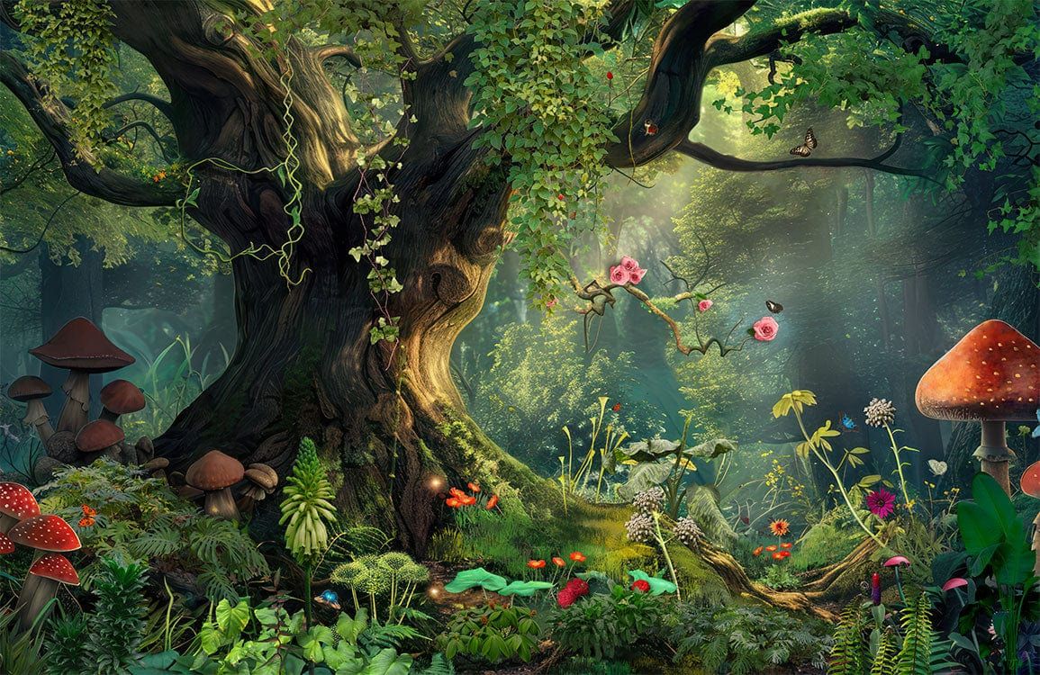 1155x750 Mystical Forest Retreat Mural Wallpaper