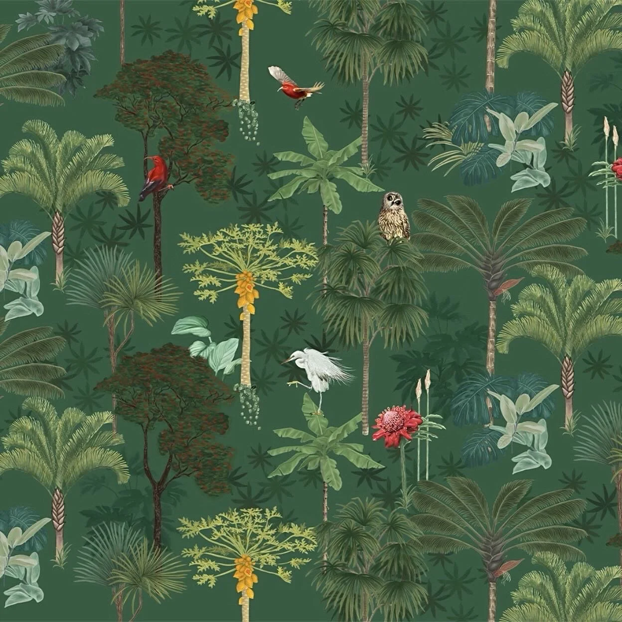 1248x1248 Whimsical Forest Wallpaper