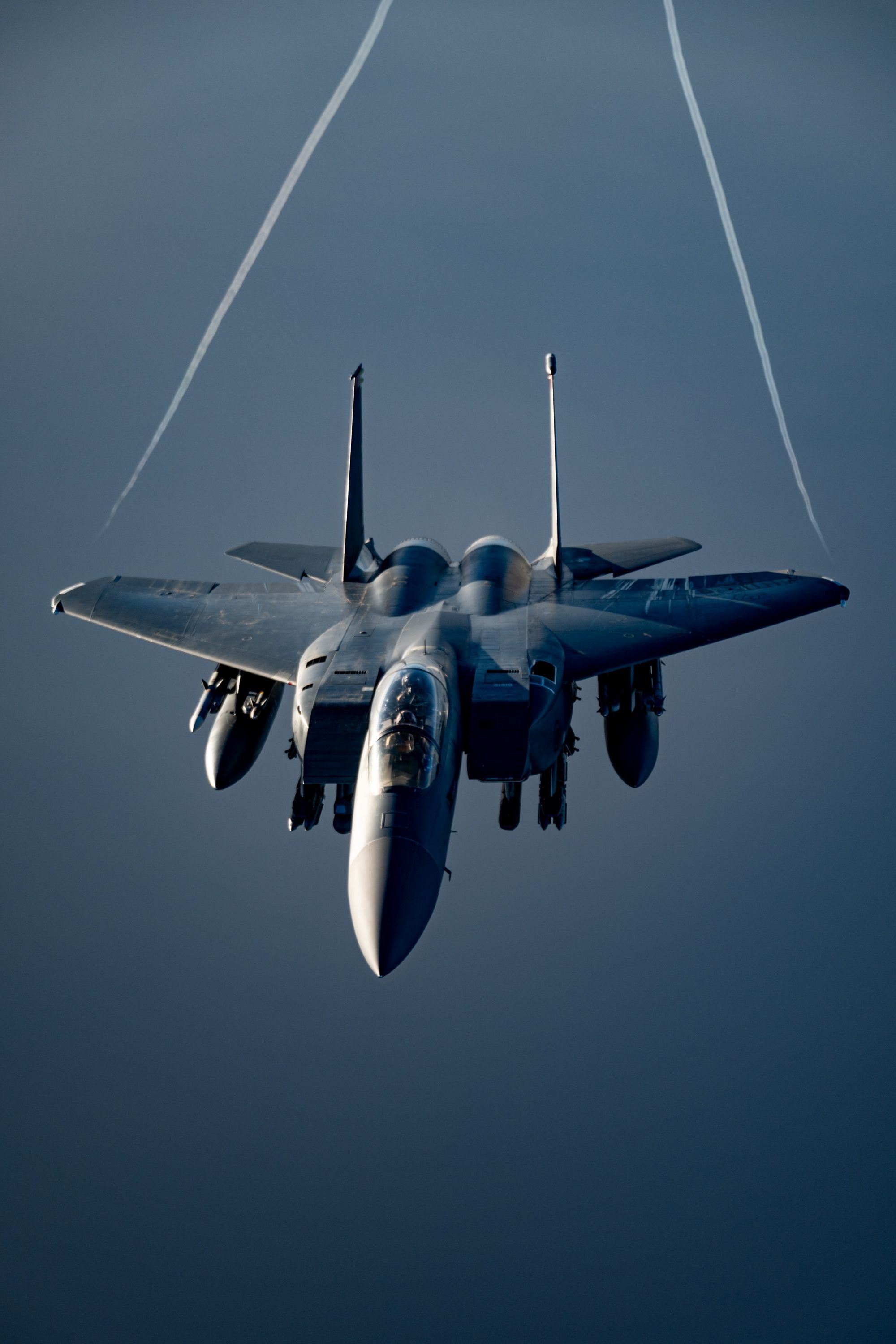 2000x3000 DVIDS Eagle Security [Image 4 of 11]